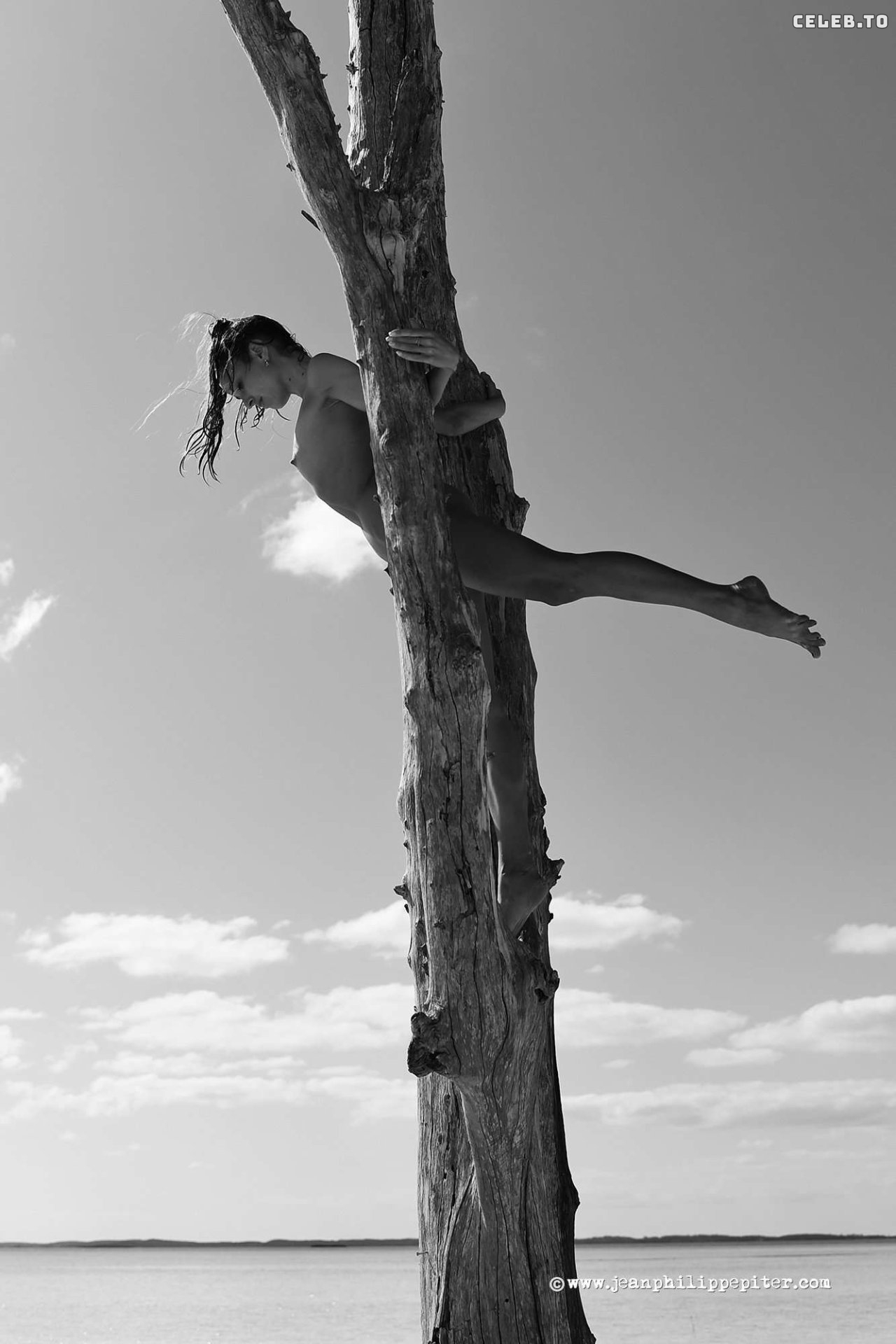 Image 7786520 from Juliane Seyfarth