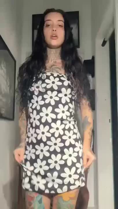 Video 241524 from Thullê Montes