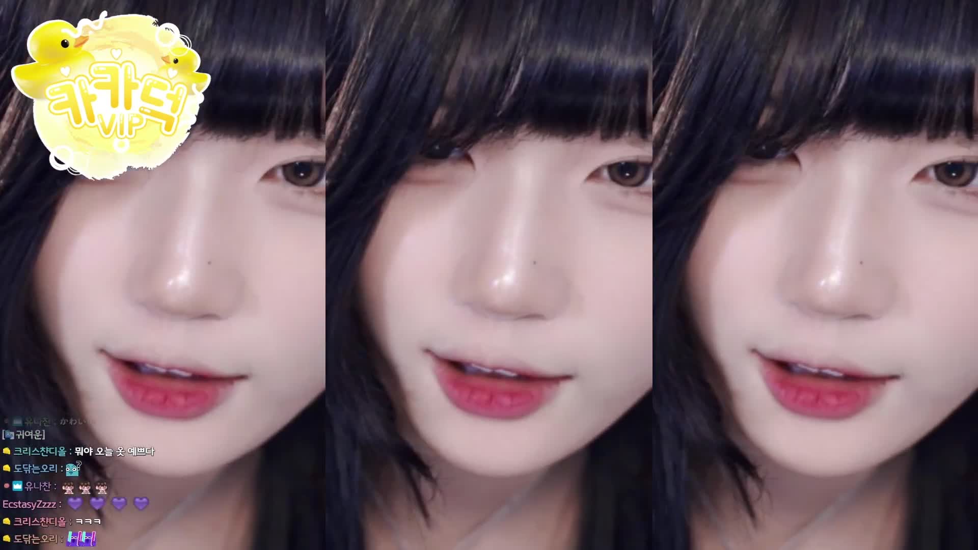 Video 243942 from yule_.0.03