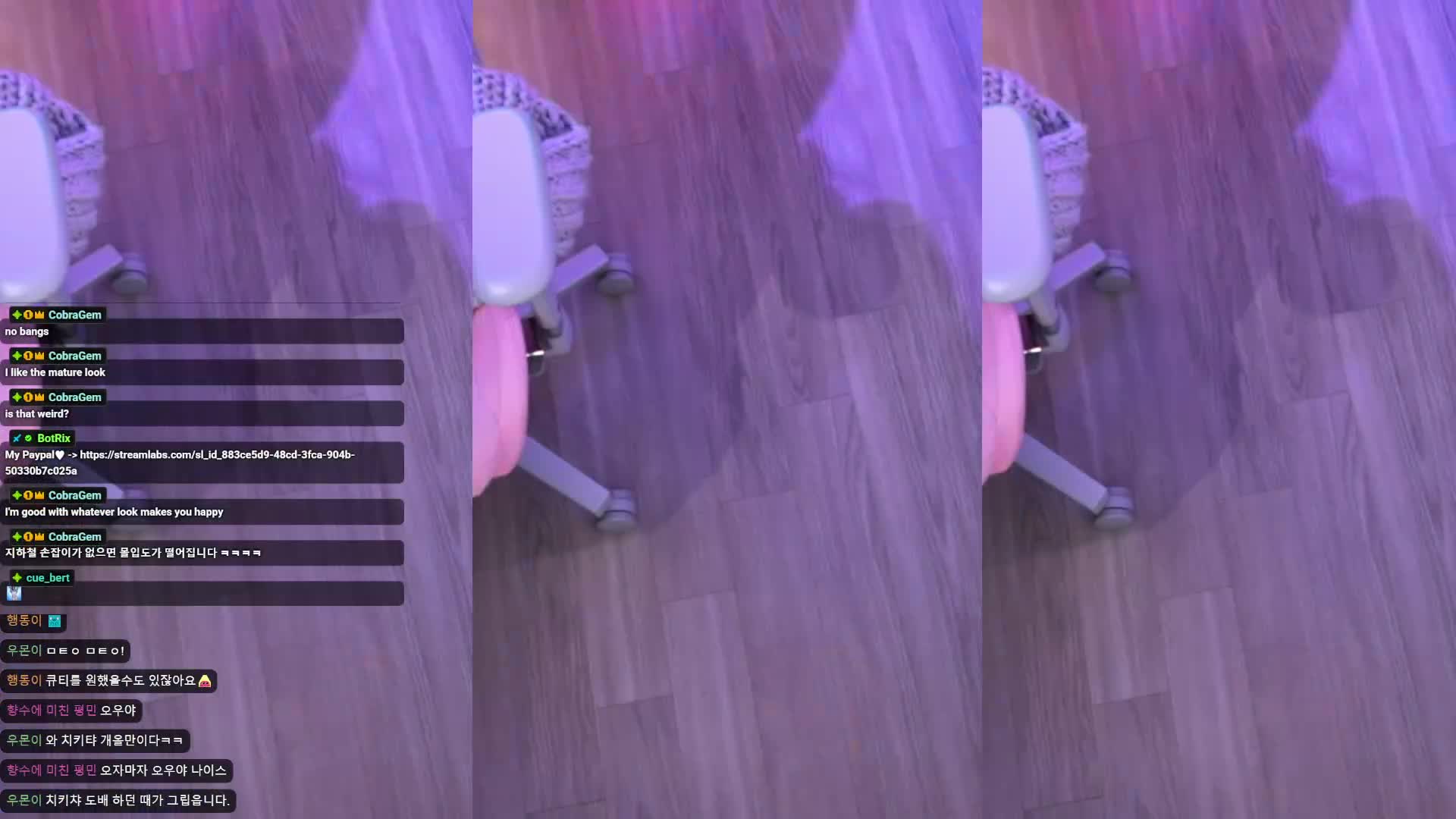Video 245364 from yule_.0.03