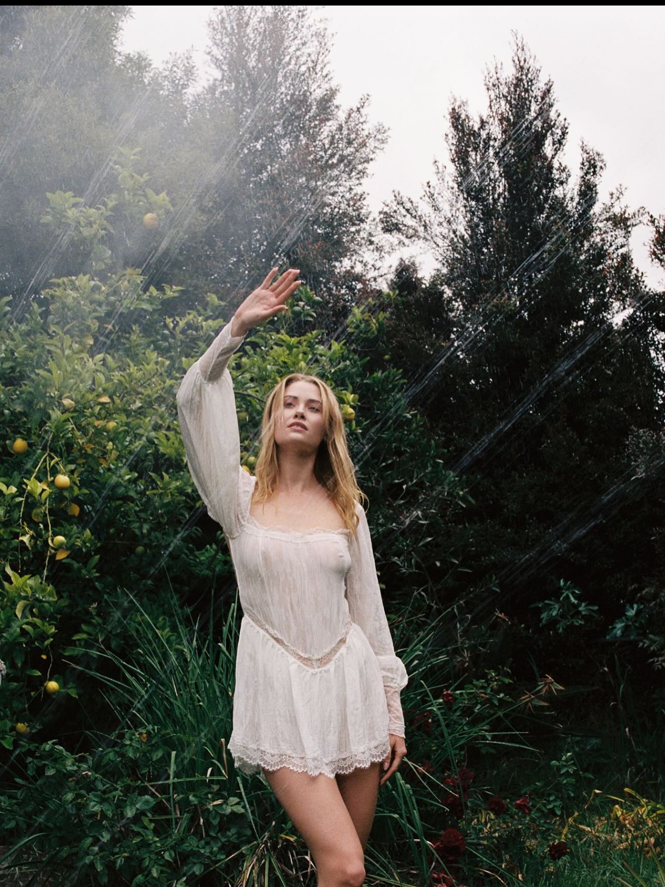 Image 7971318 from Virginia Gardner