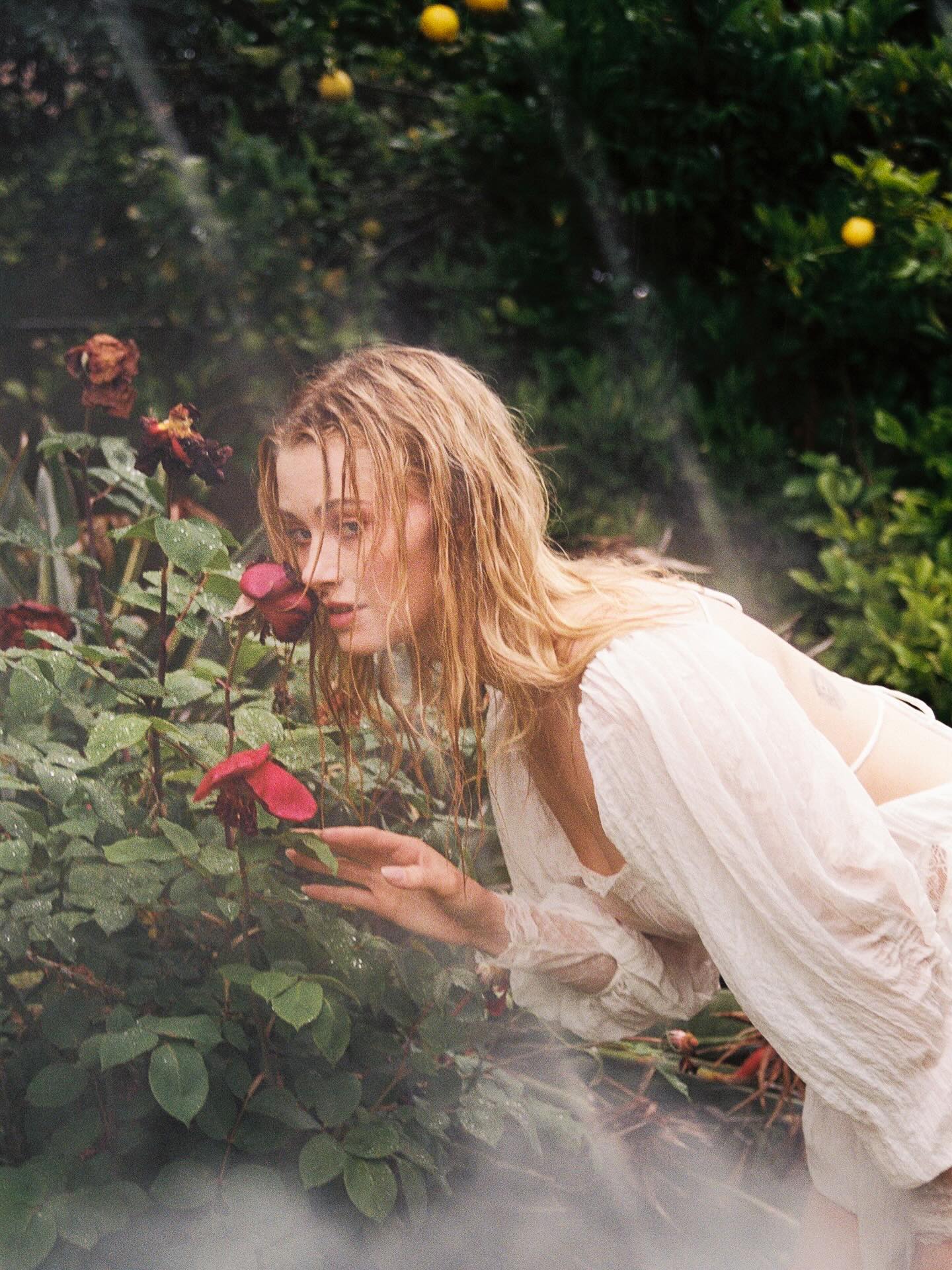 Image 7971319 from Virginia Gardner