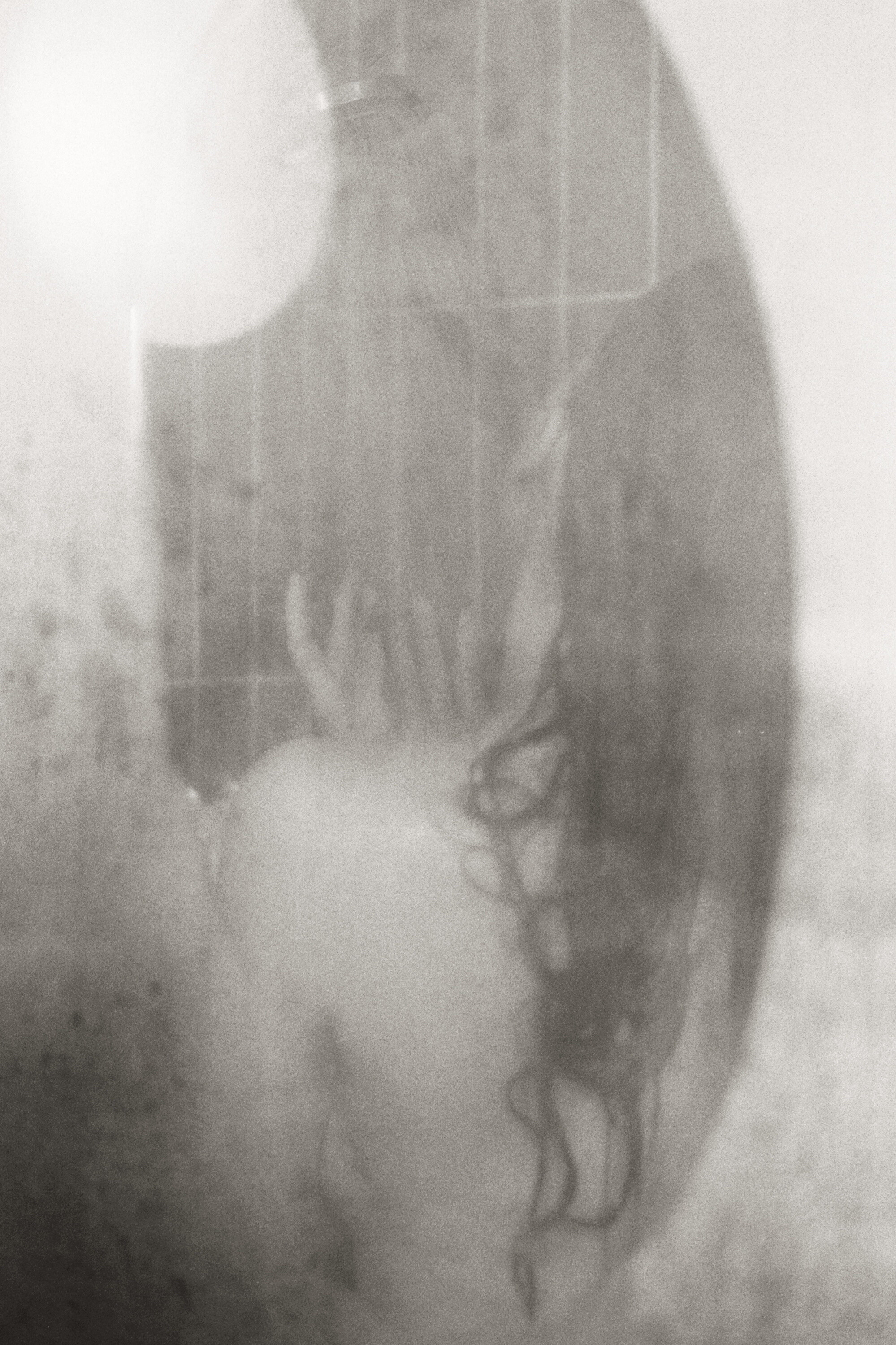 Image 8007978 from Berta Andrea Snædal | bertsfilm | Bert&#039;s Film