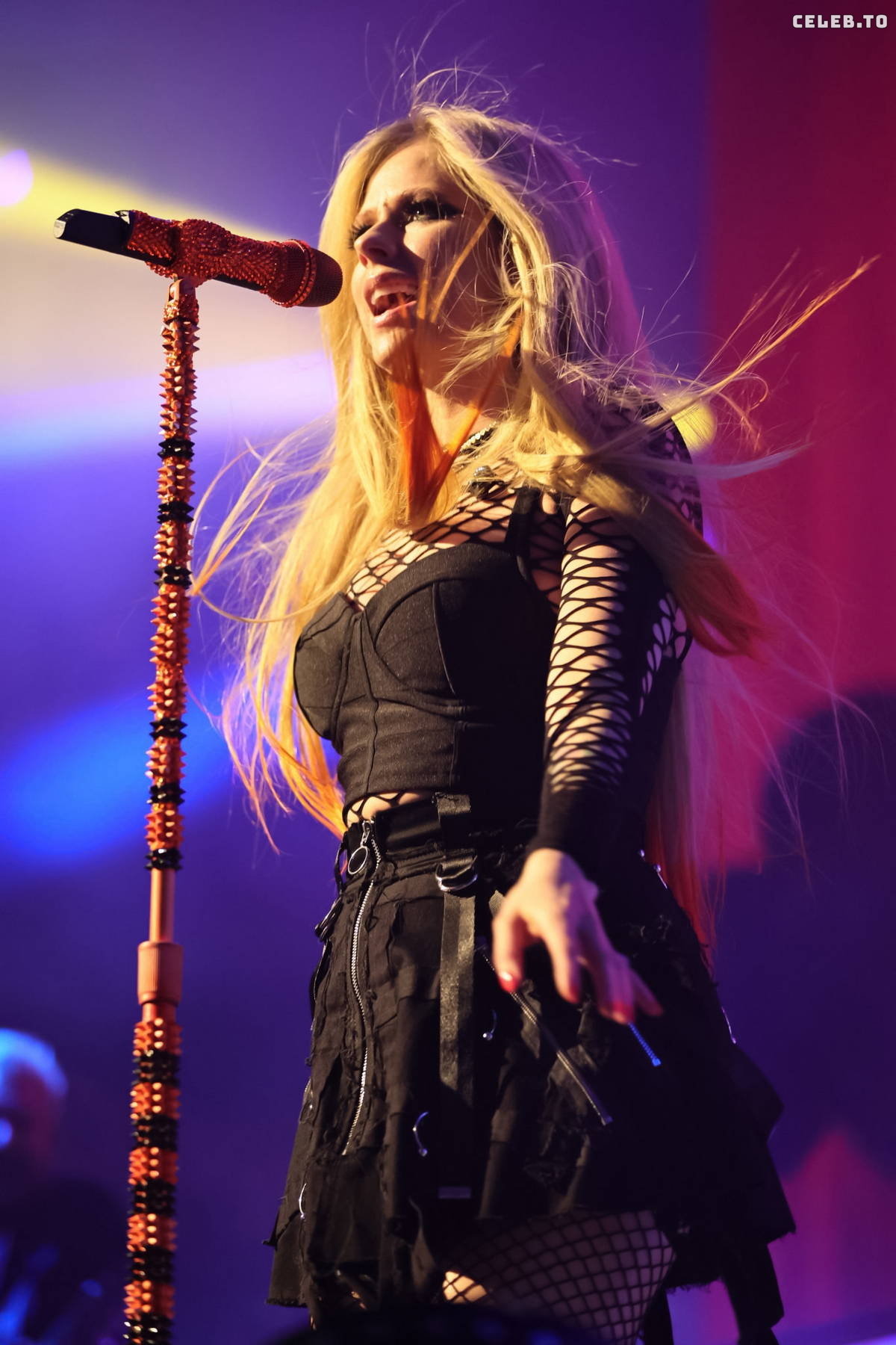 Image 8014914 from Avril Lavigne