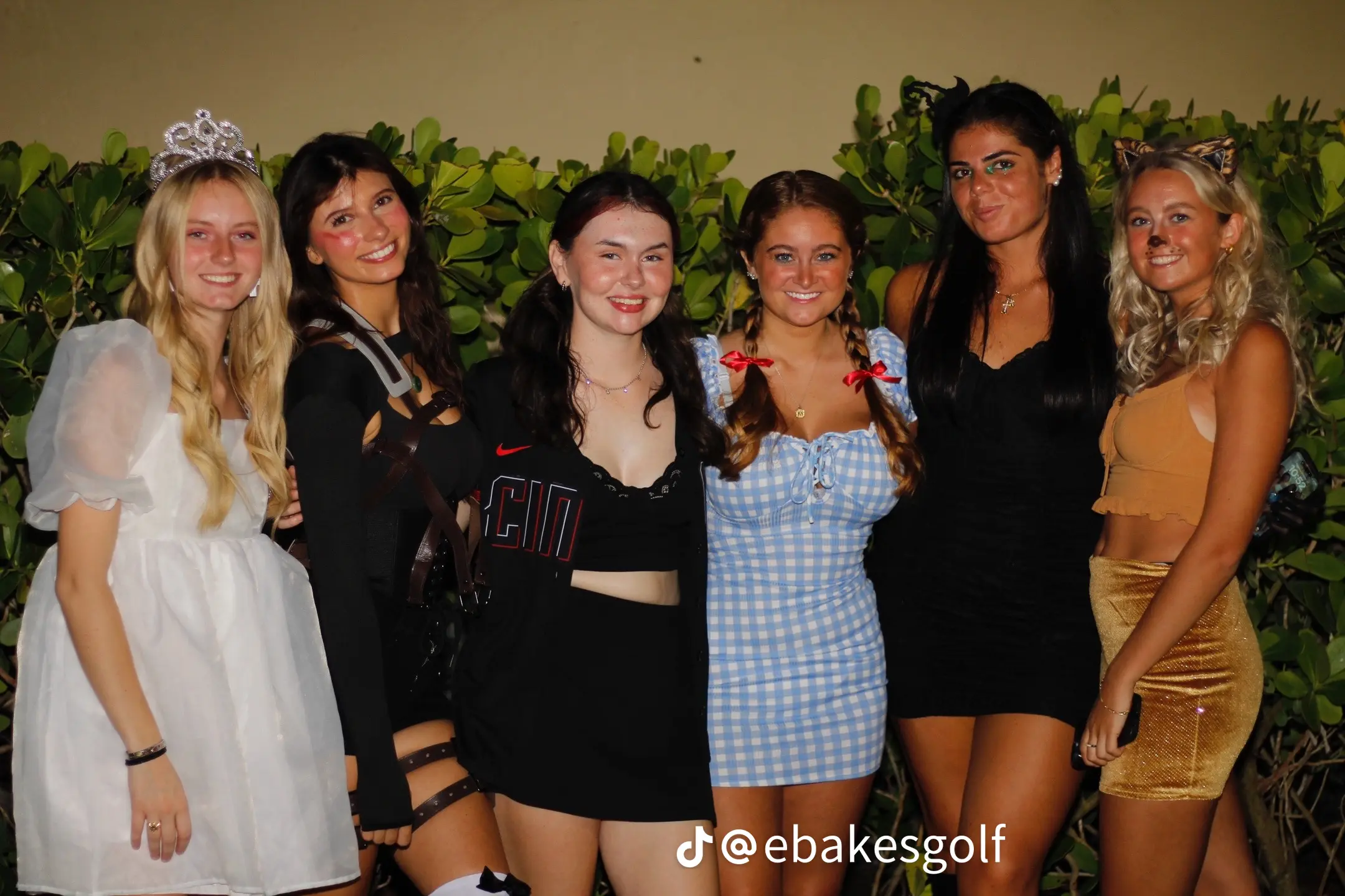 Image 8159182 from ebakesgolf