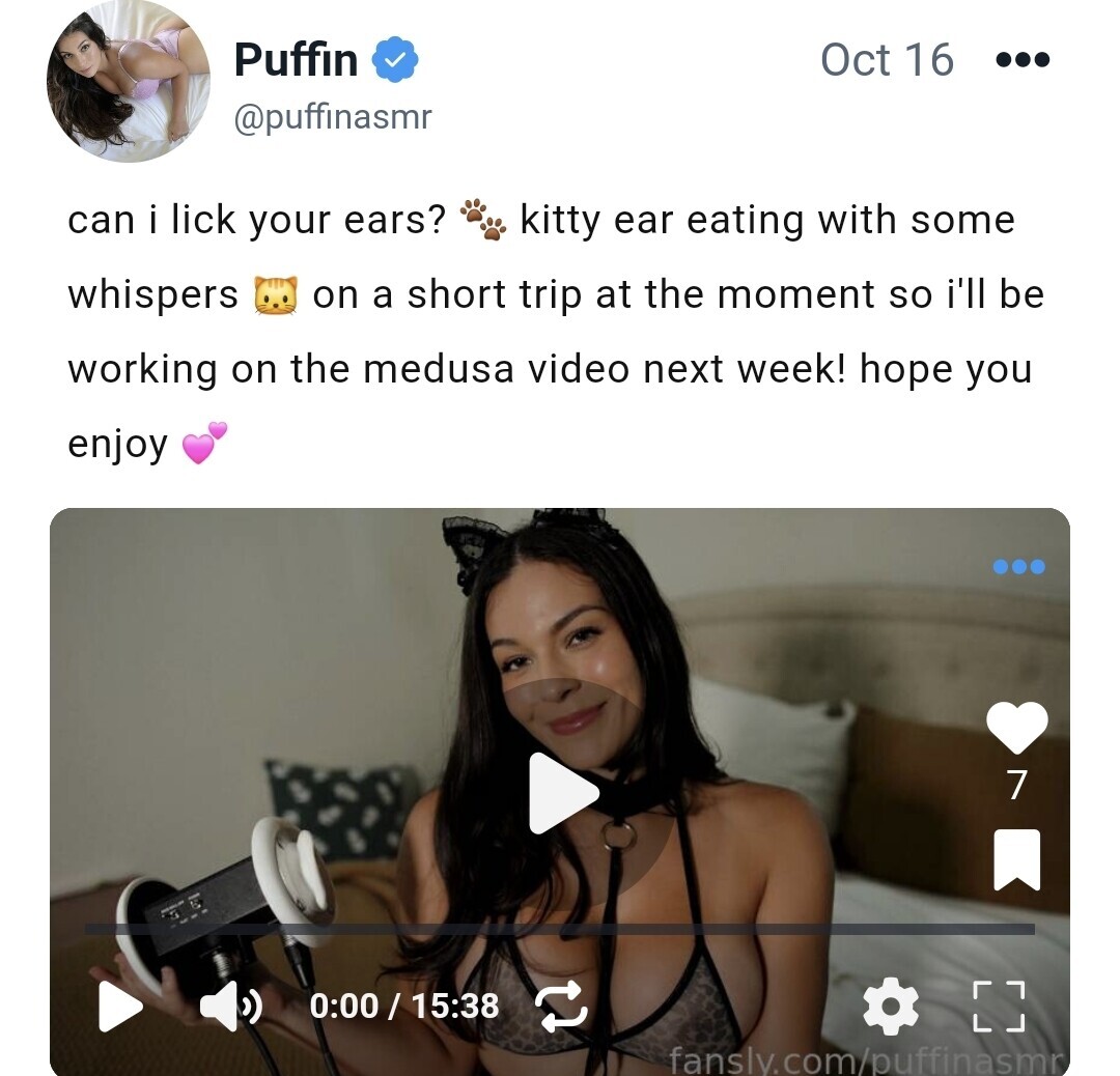 Image 8242565 from ASMR Puffin