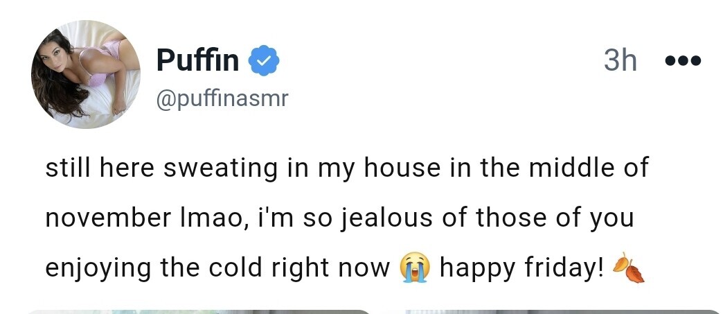 Image 8242760 from ASMR Puffin