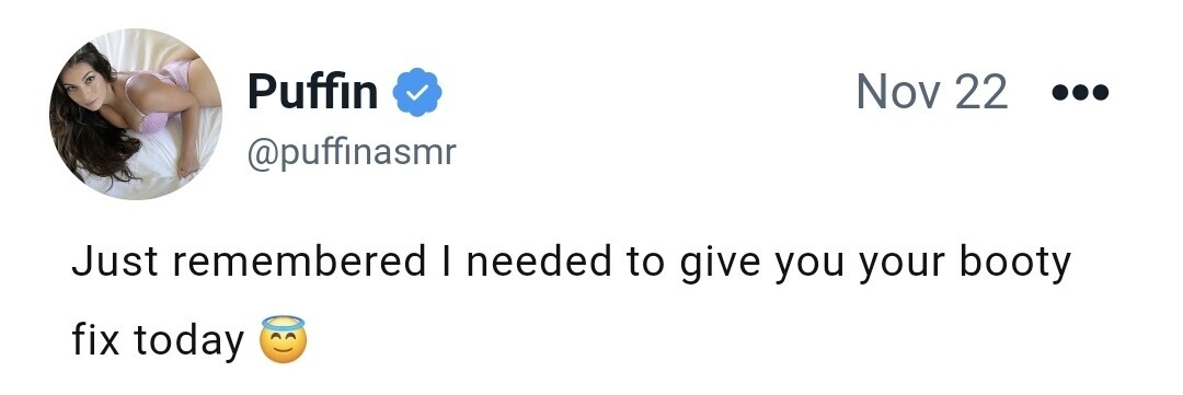 Image 8242770 from ASMR Puffin