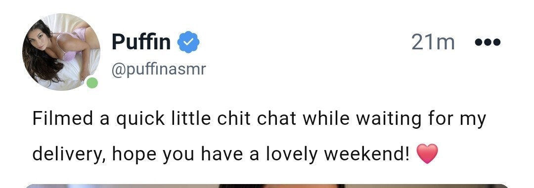 Image 8242788 from ASMR Puffin