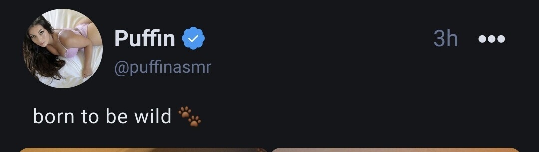 Image 8242797 from ASMR Puffin