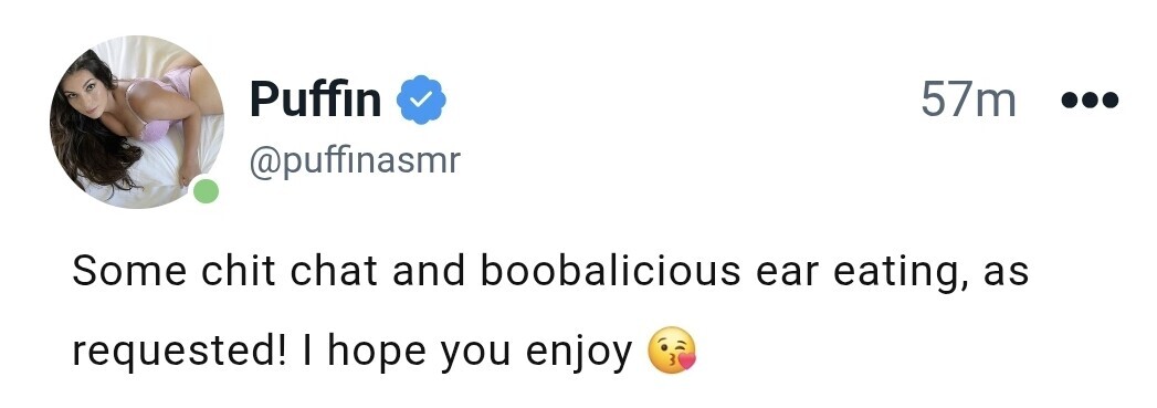 Image 8242940 from ASMR Puffin