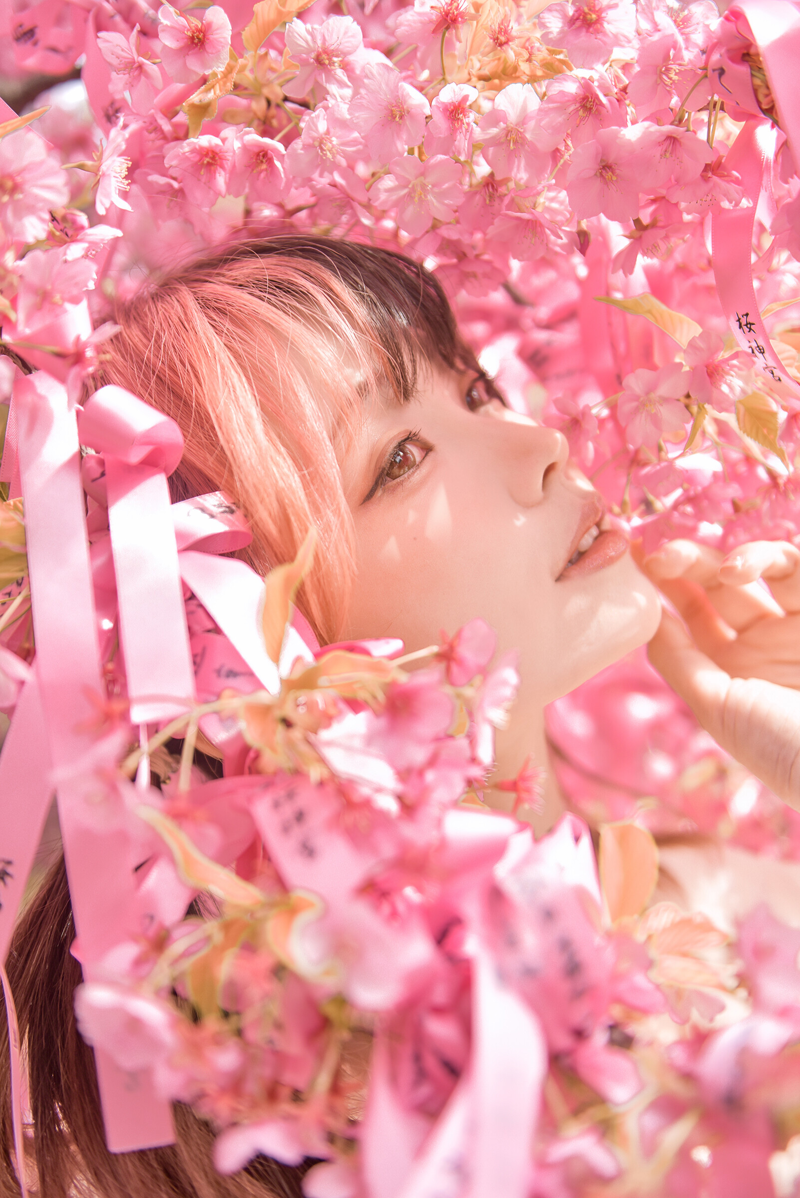 Image 8295020 from eeelyeee (Ely Cosplay)