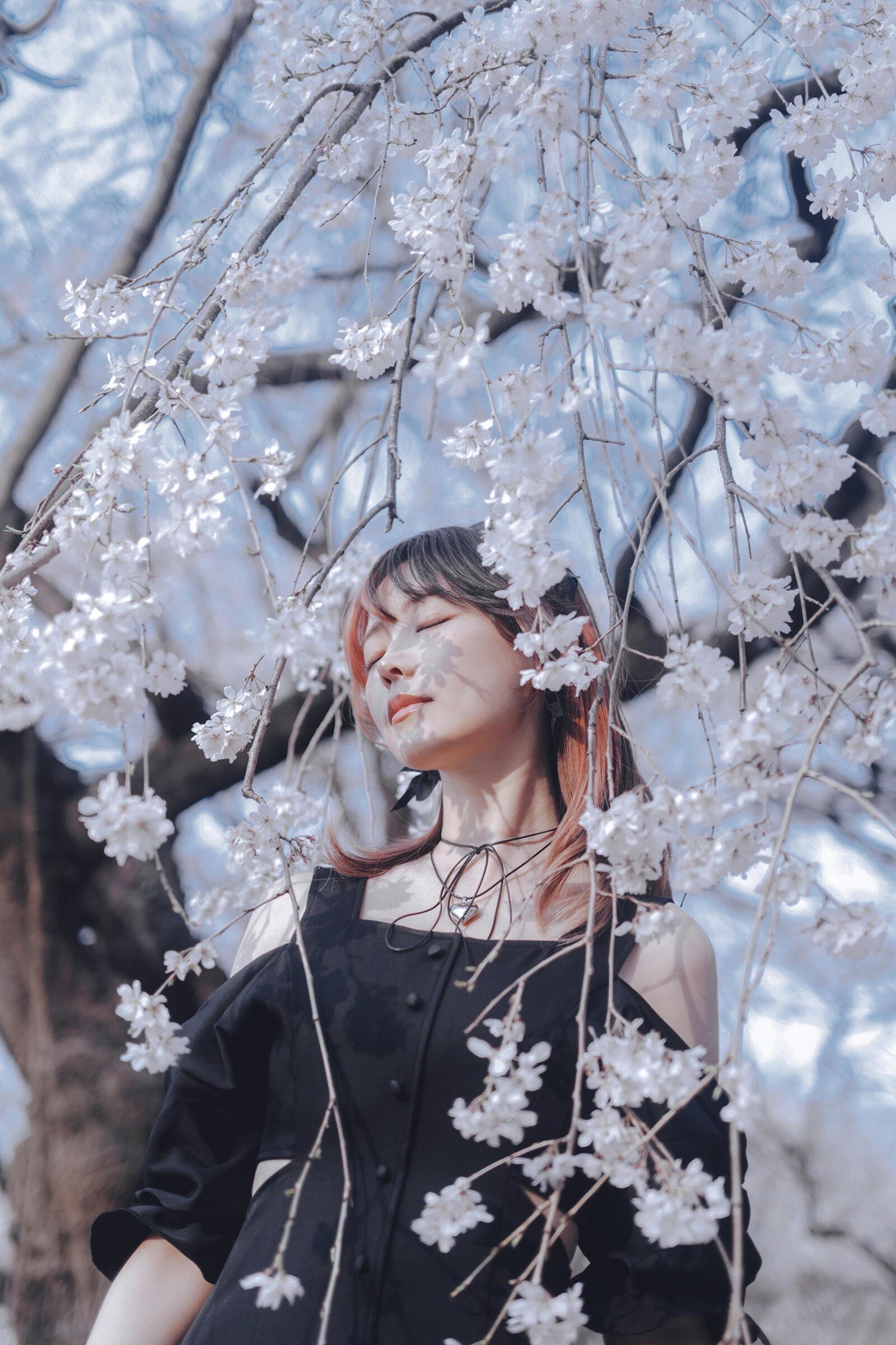 Image 8295032 from eeelyeee (Ely Cosplay)