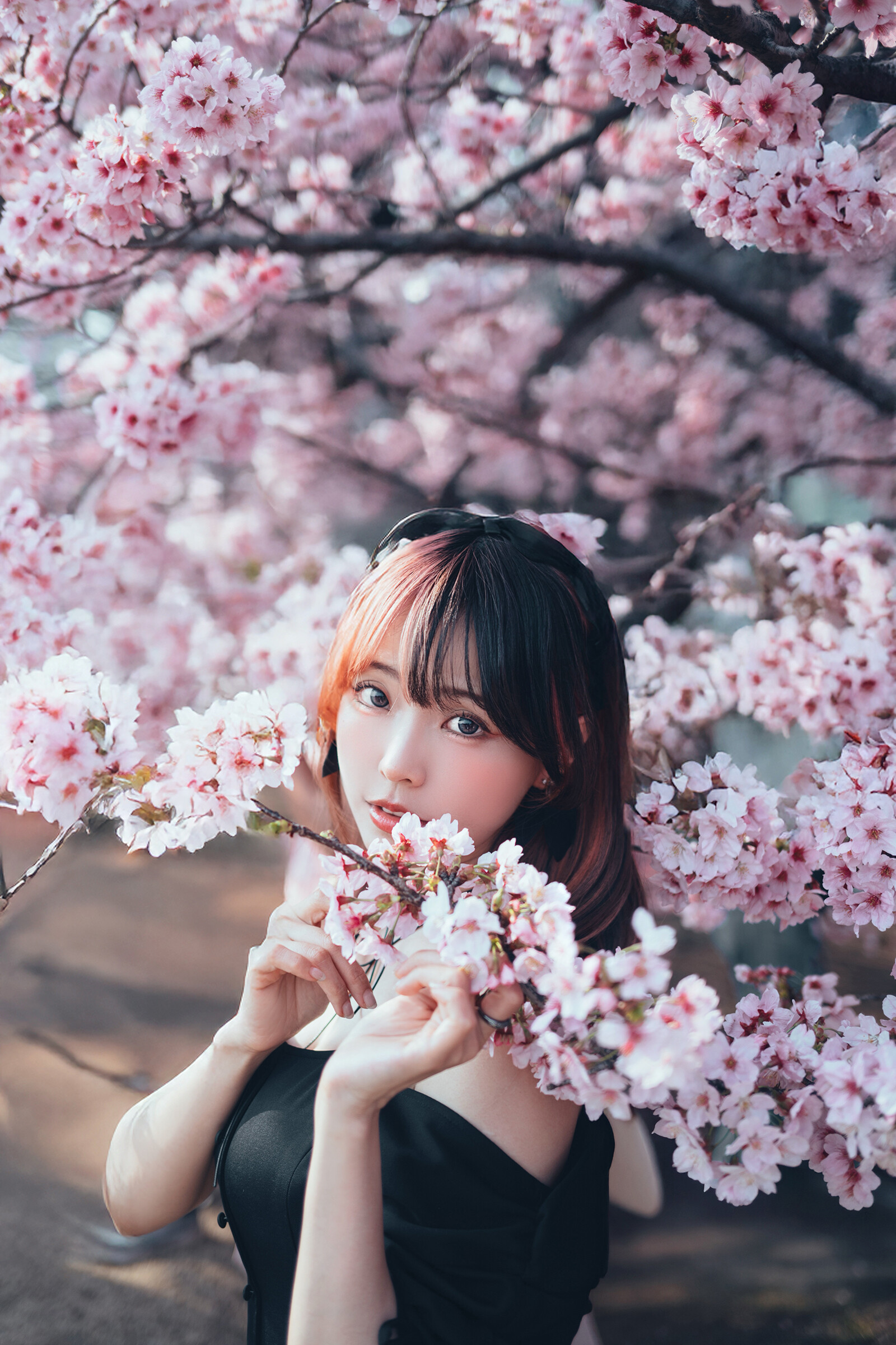 Image 8295038 from eeelyeee (Ely Cosplay)