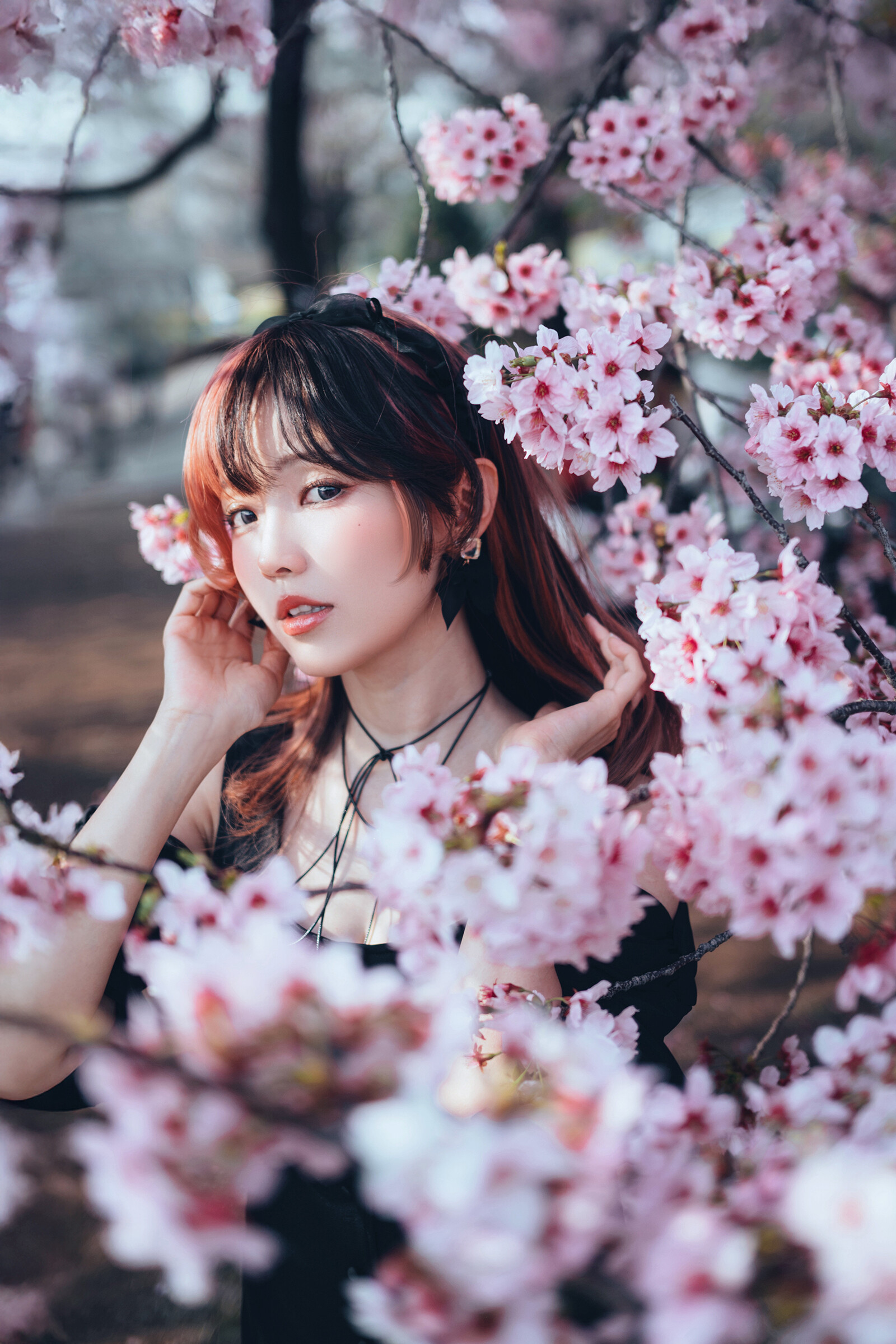 Image 8295040 from eeelyeee (Ely Cosplay)