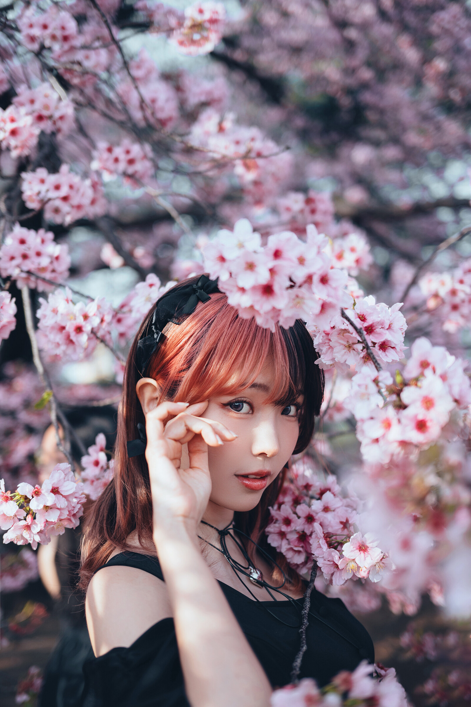 Image 8295042 from eeelyeee (Ely Cosplay)