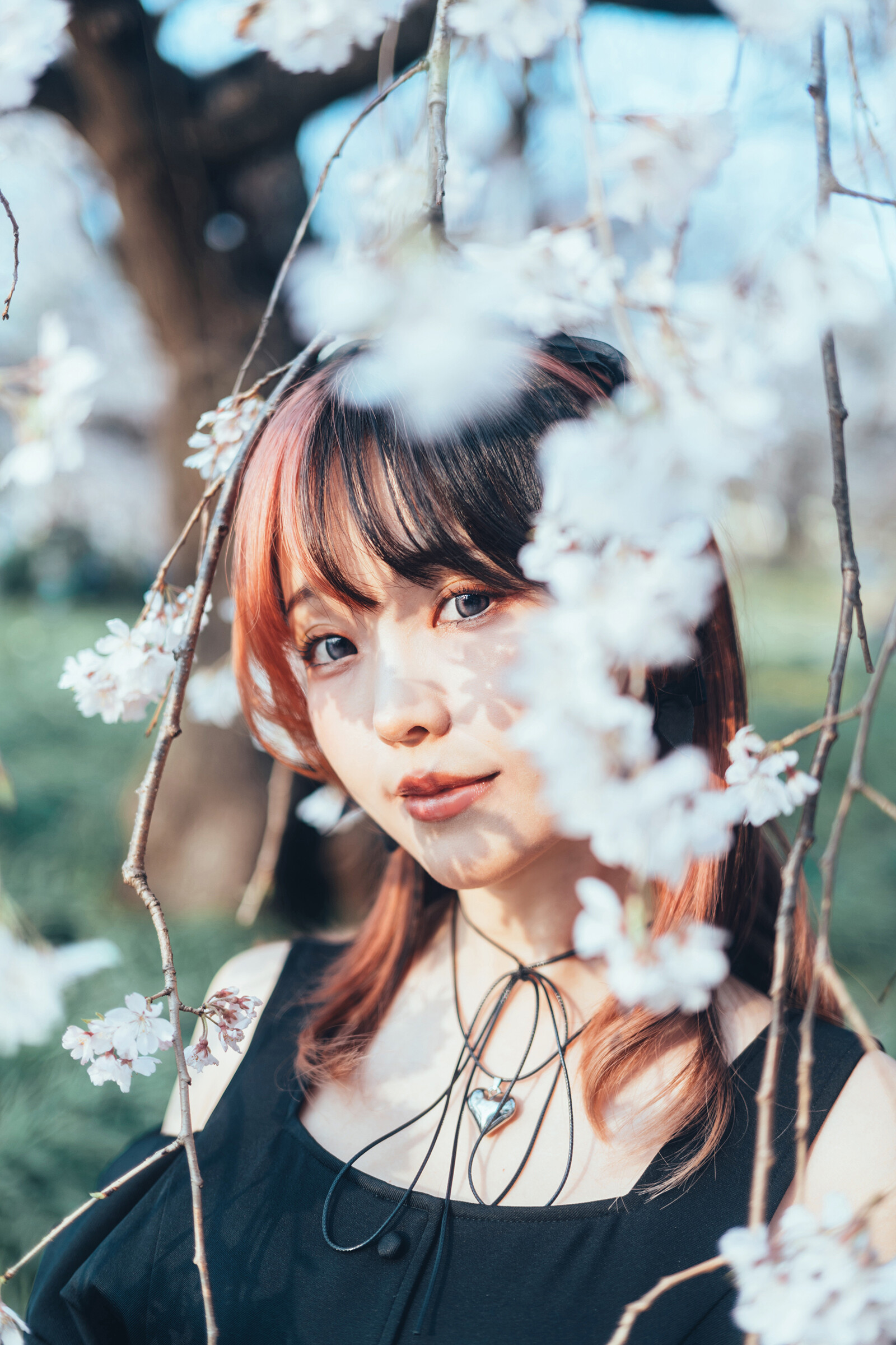 Image 8295045 from eeelyeee (Ely Cosplay)