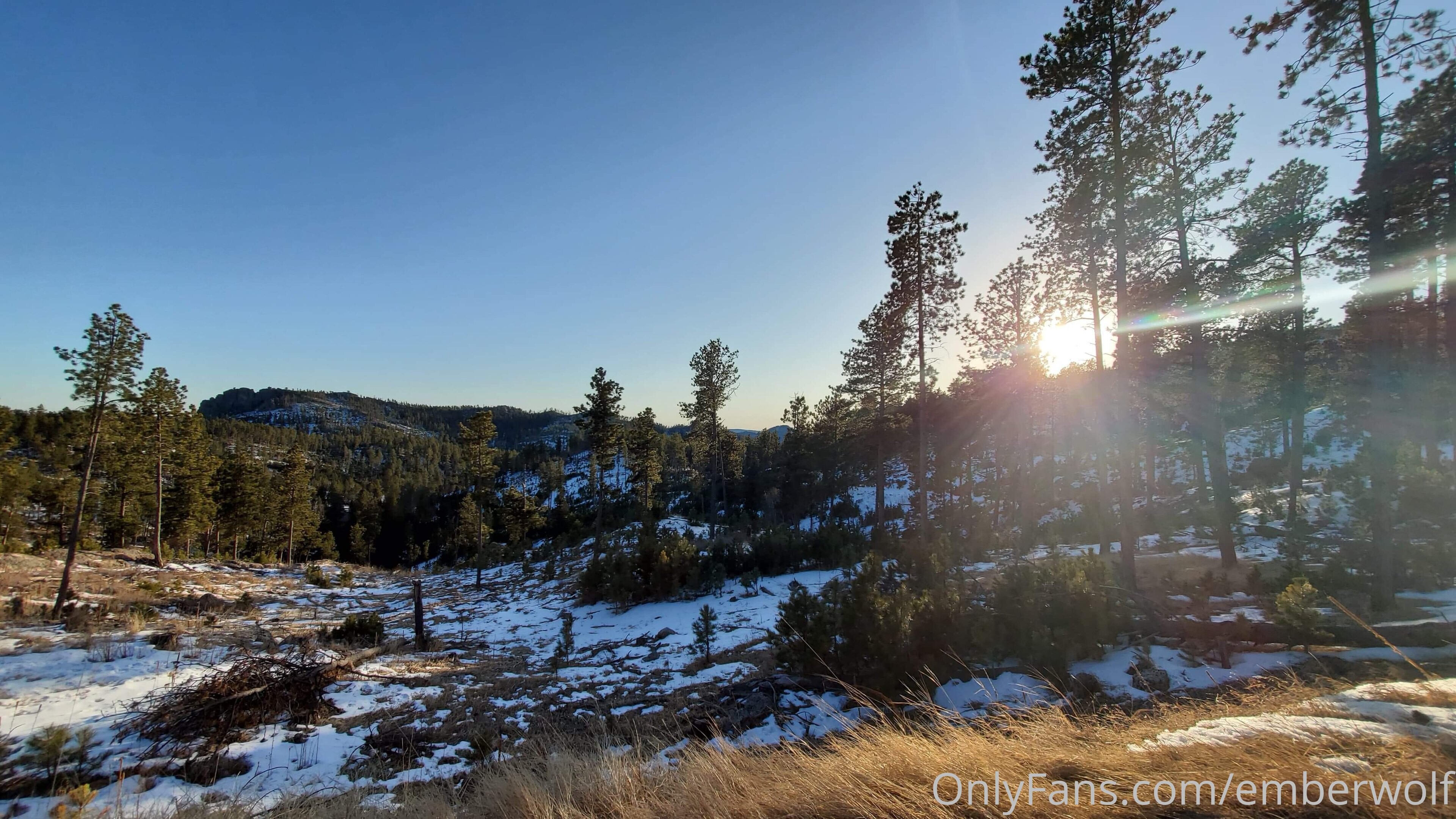 Image 8312415 from Ember Wolf