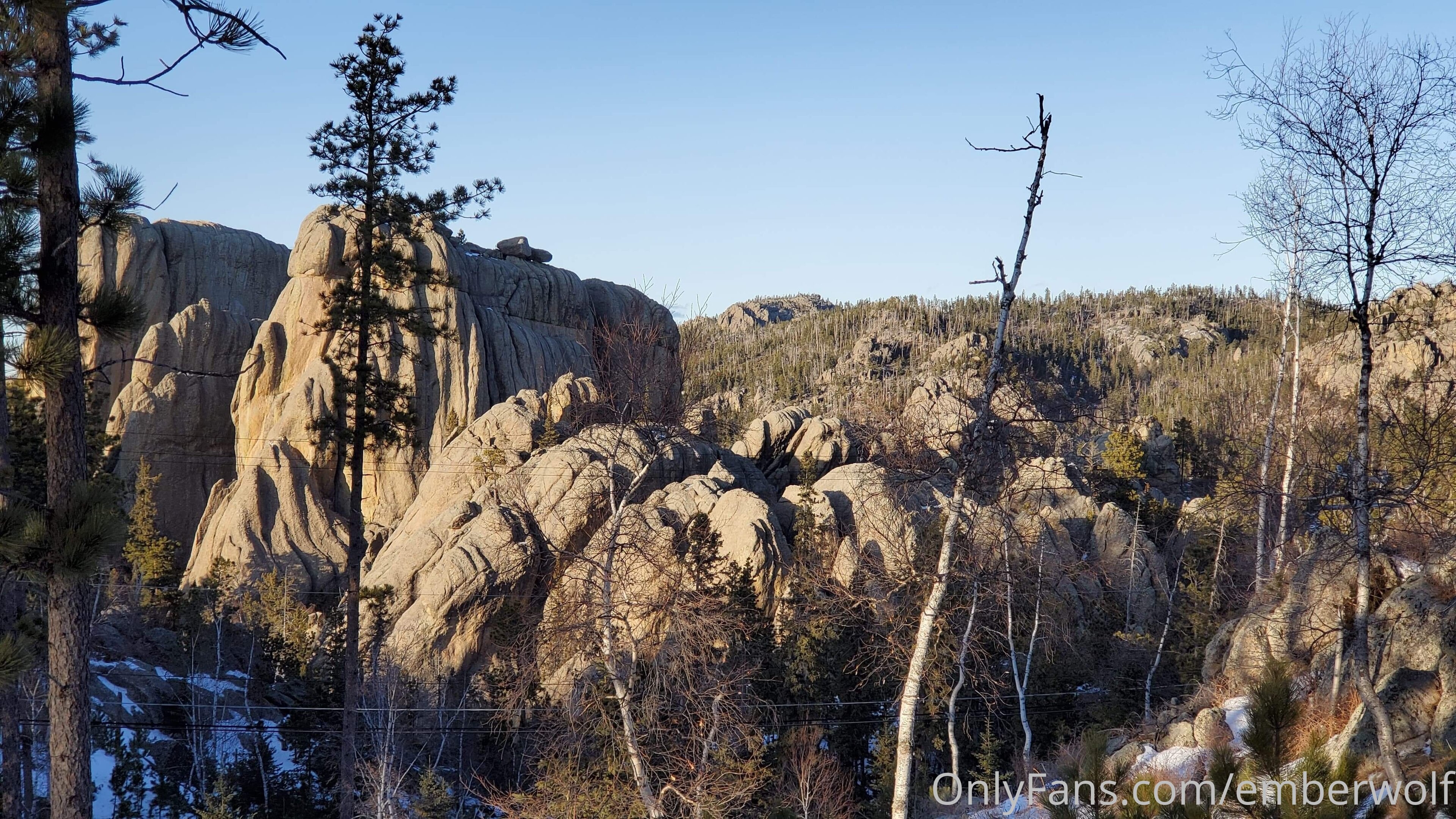 Image 8312417 from Ember Wolf