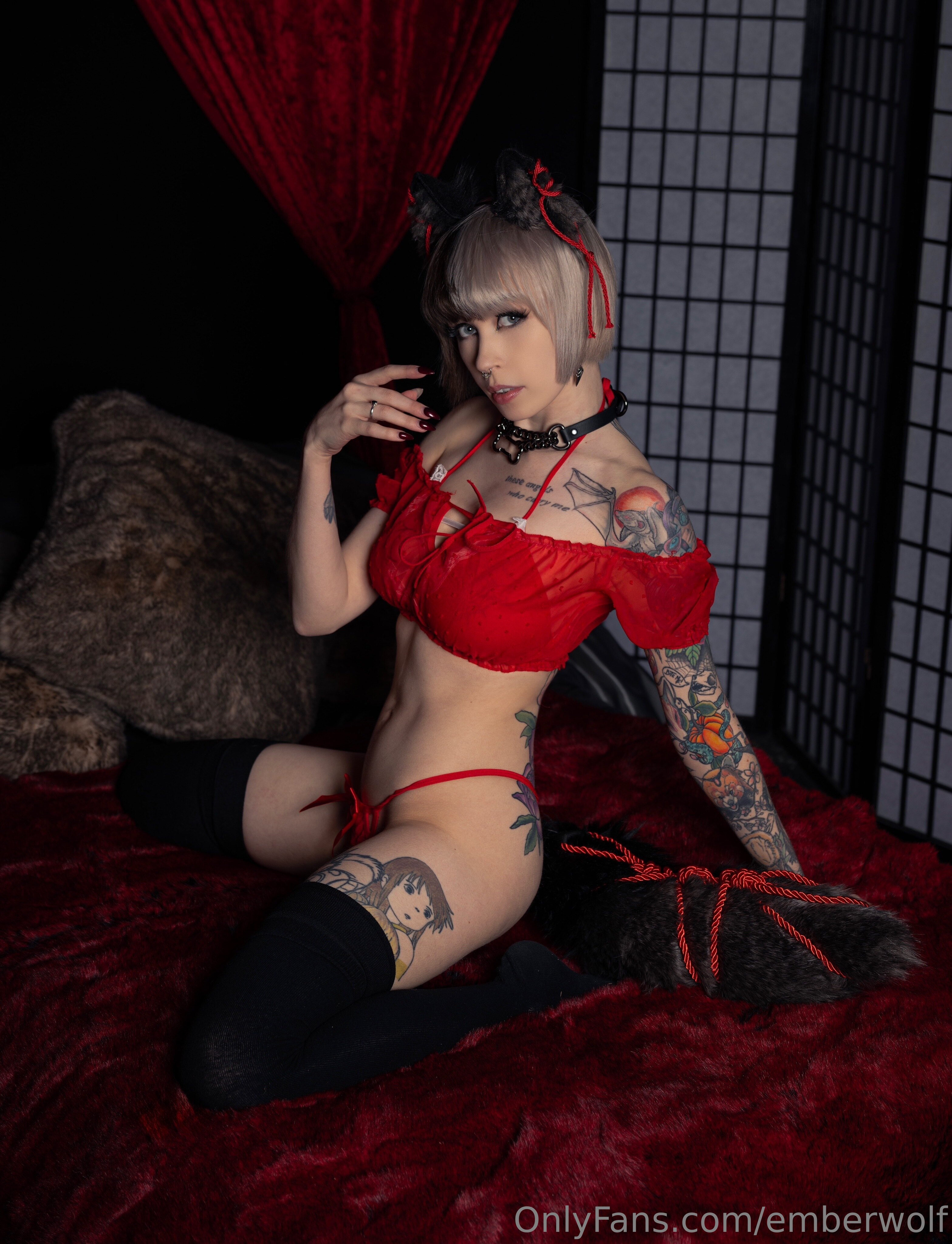Image 8312436 from Ember Wolf