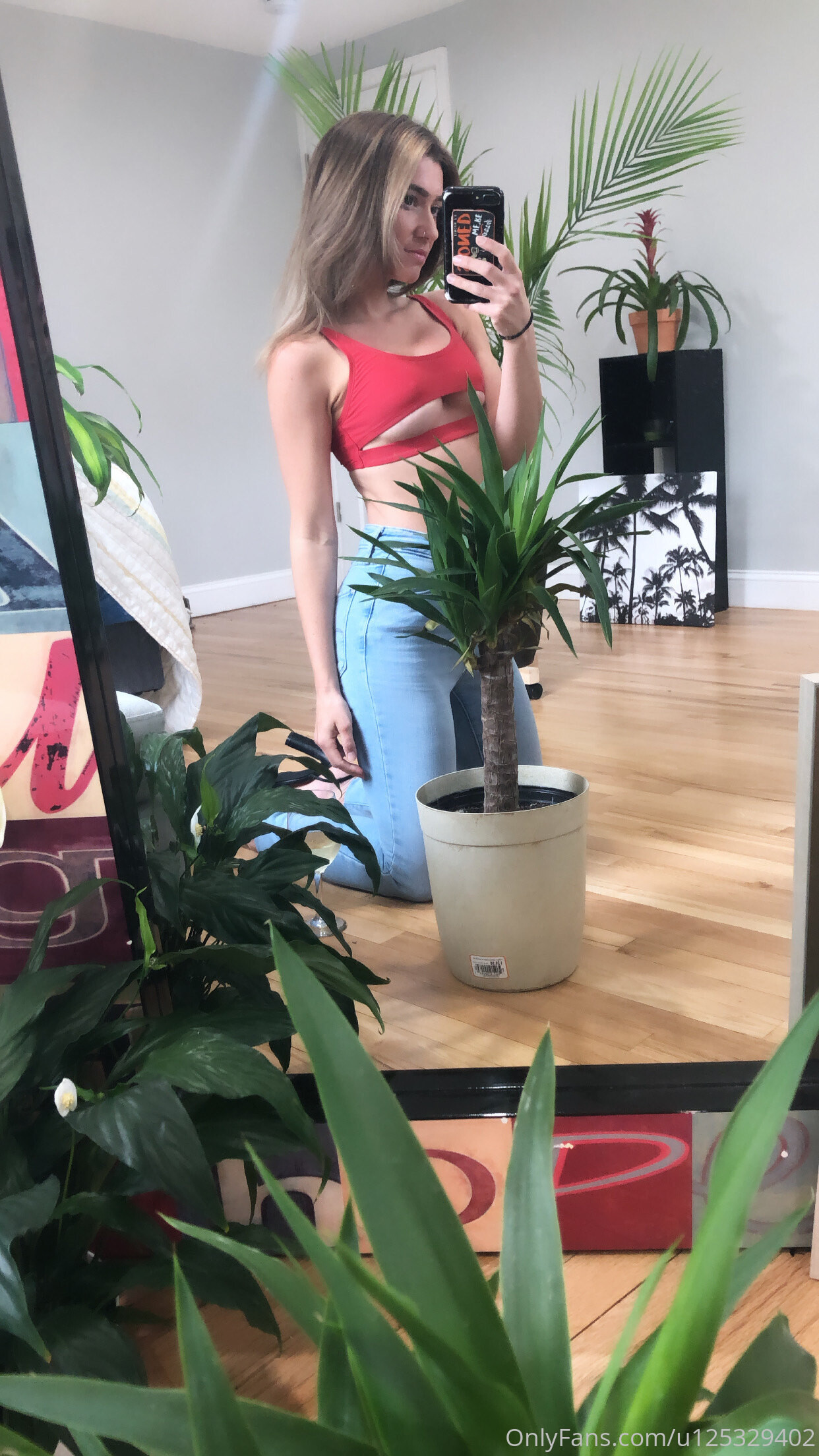 Image 8318769 from Jpann 1 / ThePlantFam