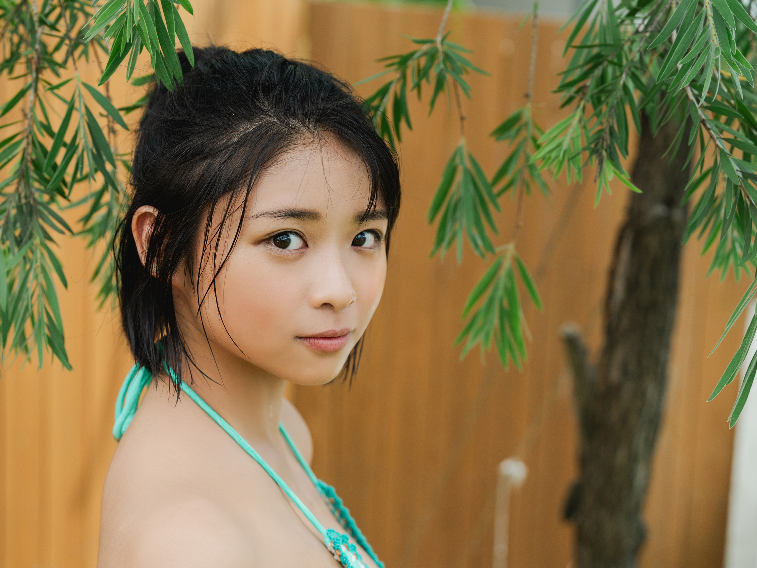 Image 8348233 from Miku Kuwajima