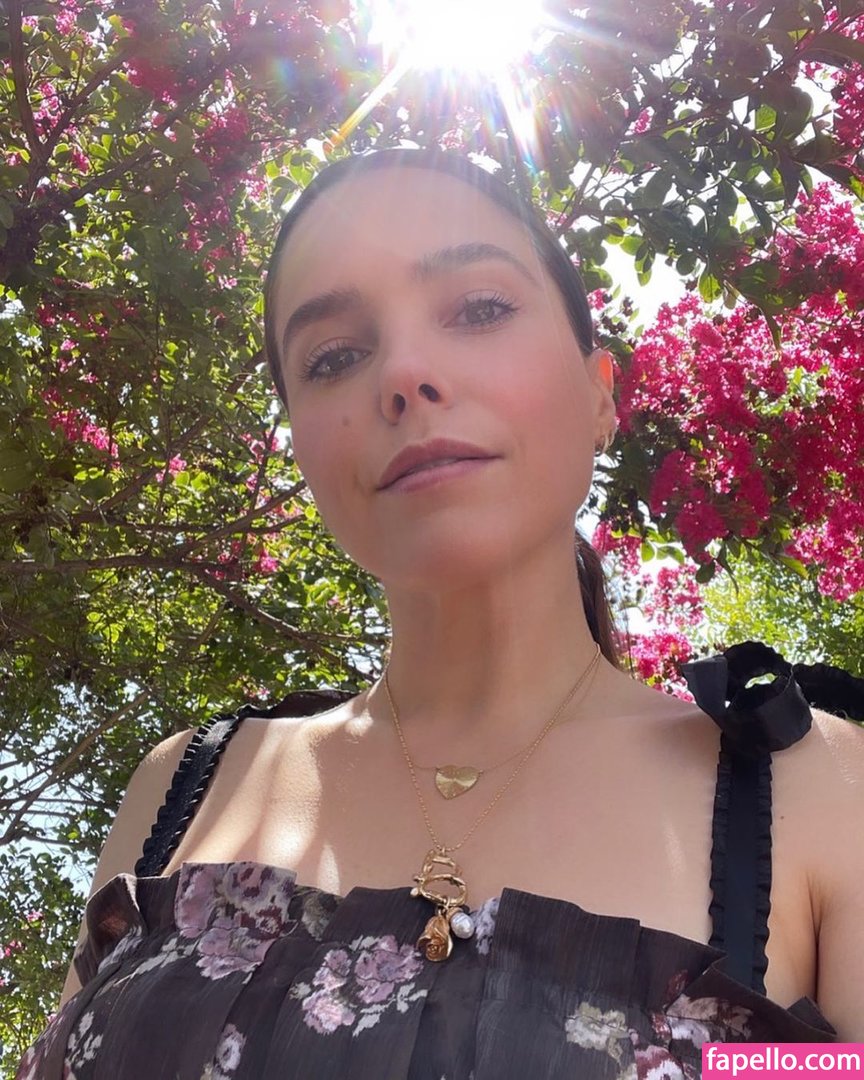 Image 8359404 from Sophia Bush