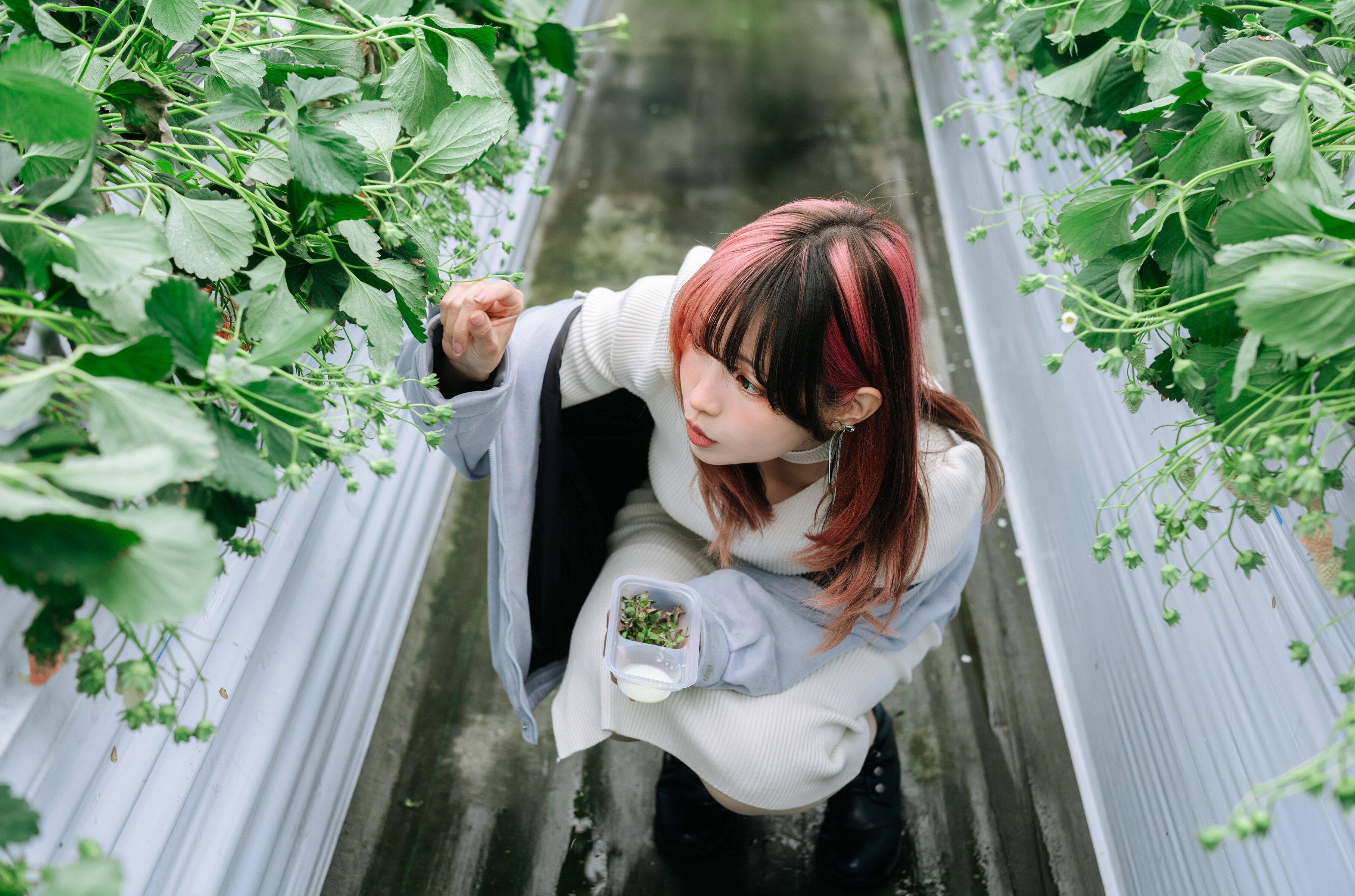 Image 8456706 from eeelyeee (Ely Cosplay)