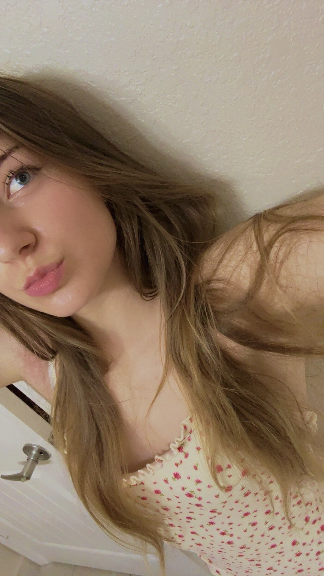 Image 8520117 from Sunflower ASMR | sunflowerVA