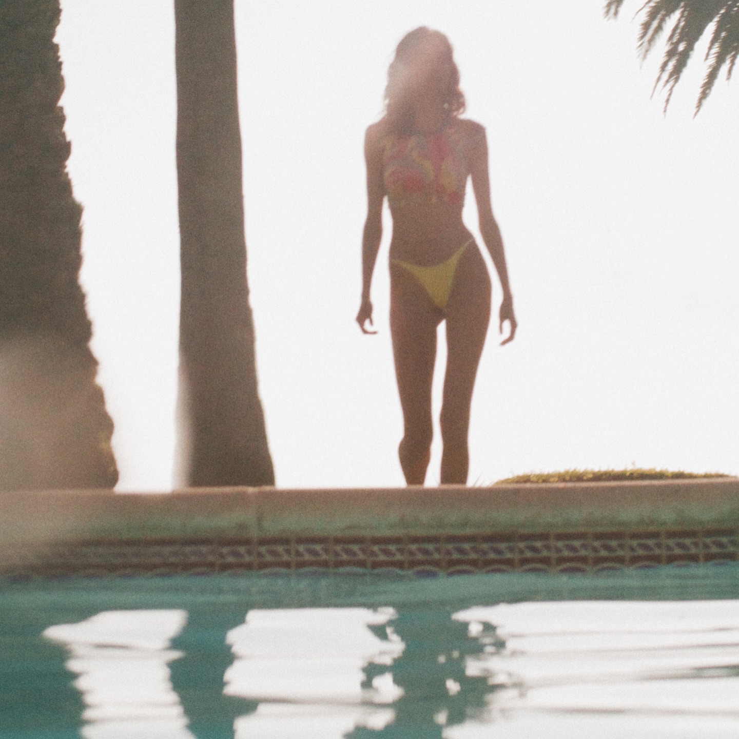 Image 8697209 from Kelly Gale / kellybellyboom