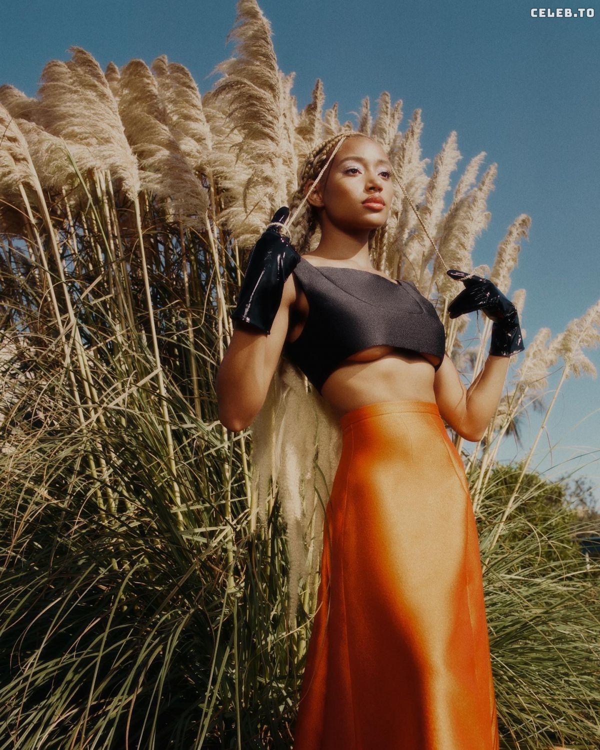 Image 8727990 from Amandla Stenberg