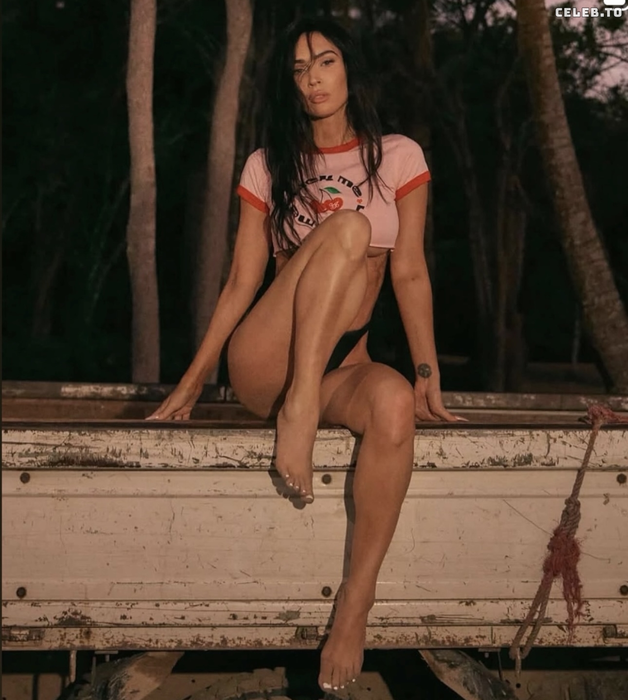 Image 8728748 from Megan Fox