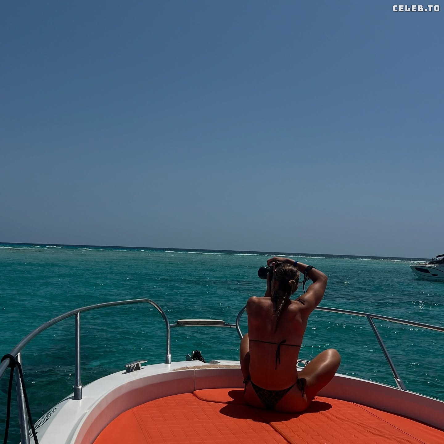 Image 8749272 from Selina Cerci
