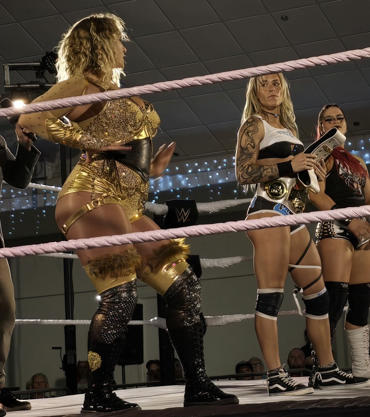 Image 8786873 from WWE Nikkita Lyons