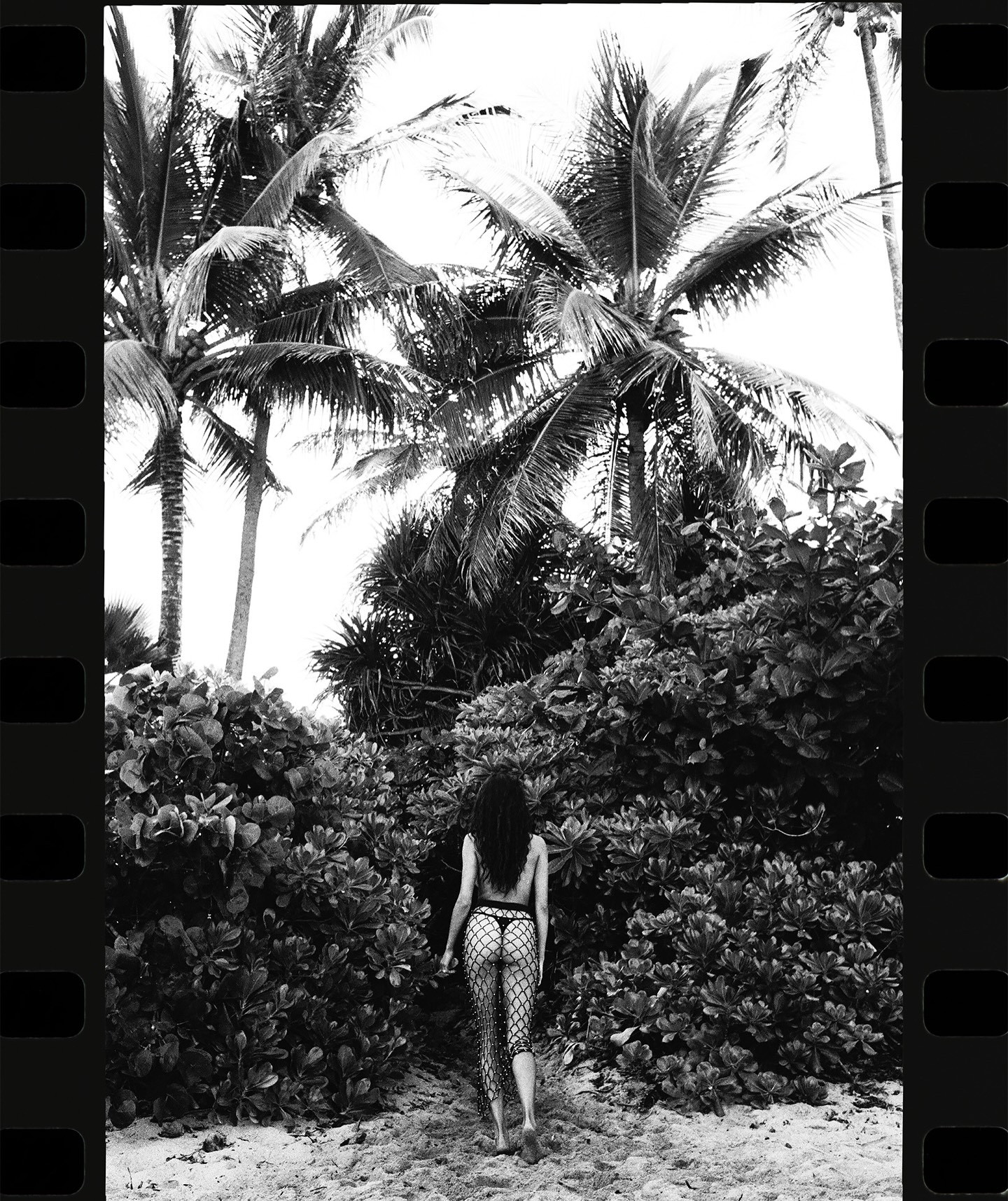 Image 8788010 from Kelly Gale / kellybellyboom