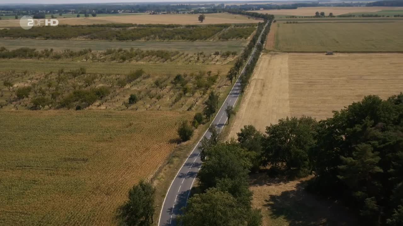 Video 311726 from Josefine Preuß