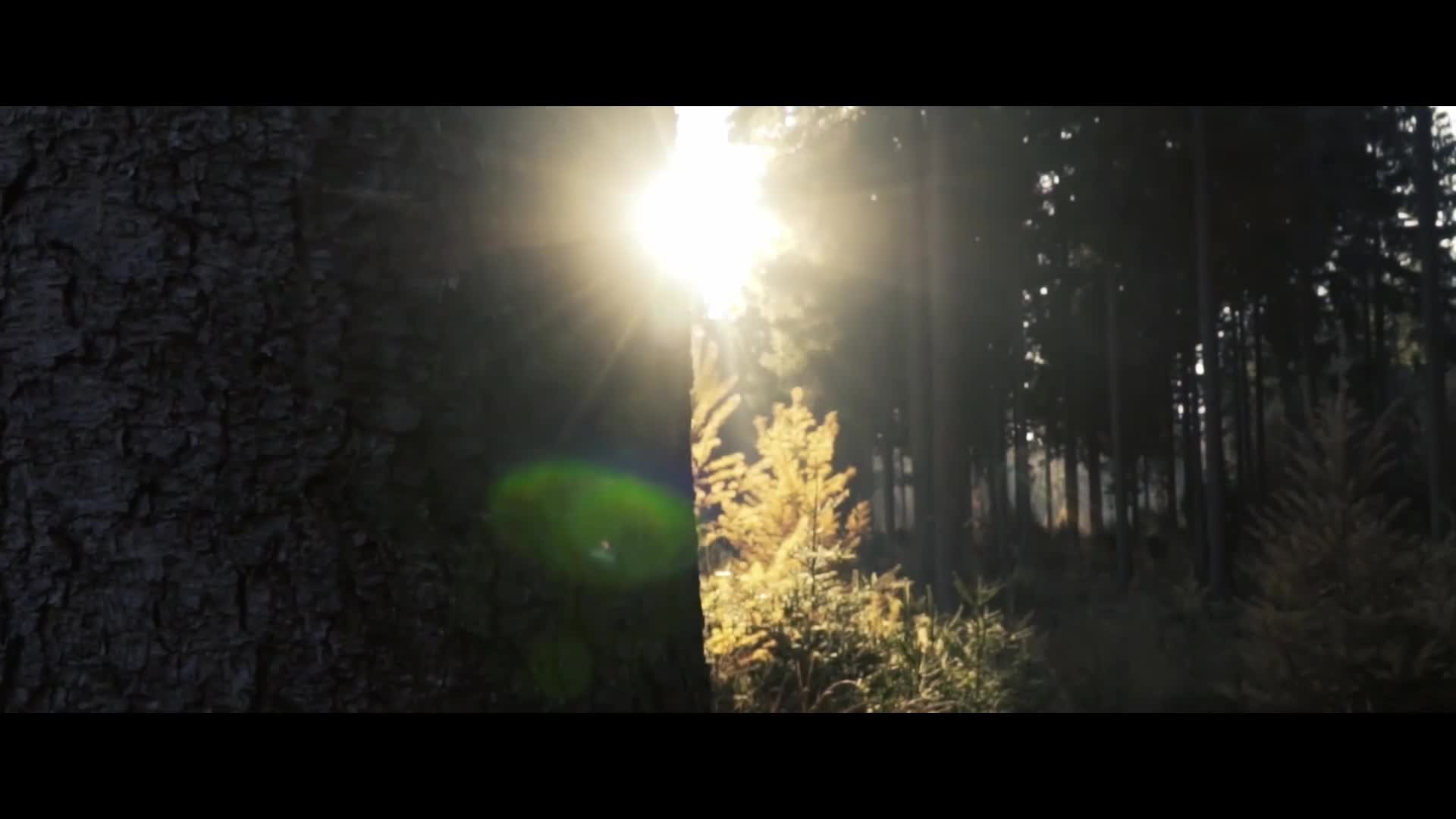 Video 312145 from Paula Bulczynska