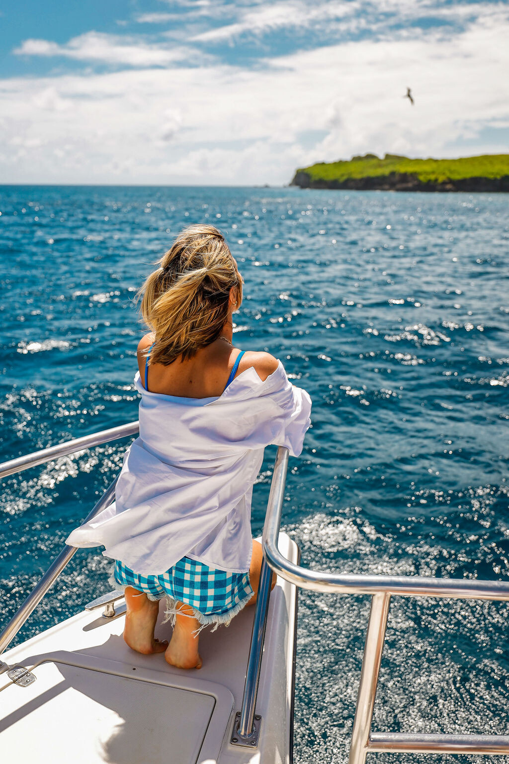 Image 8854765 from Giovanna Ewbank