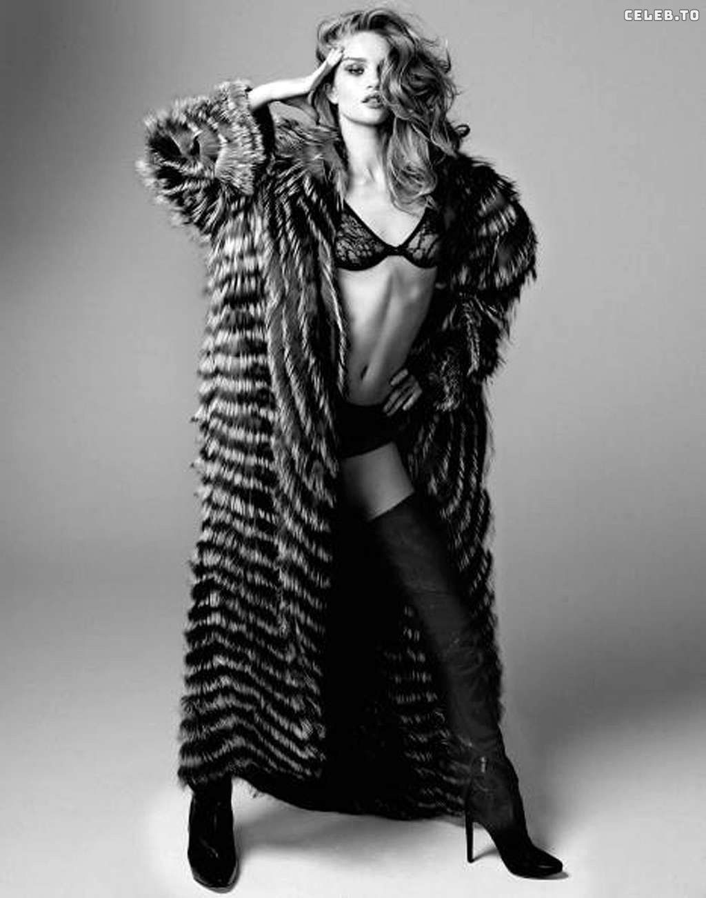 Image 8909762 from Rosie Huntington-Whiteley