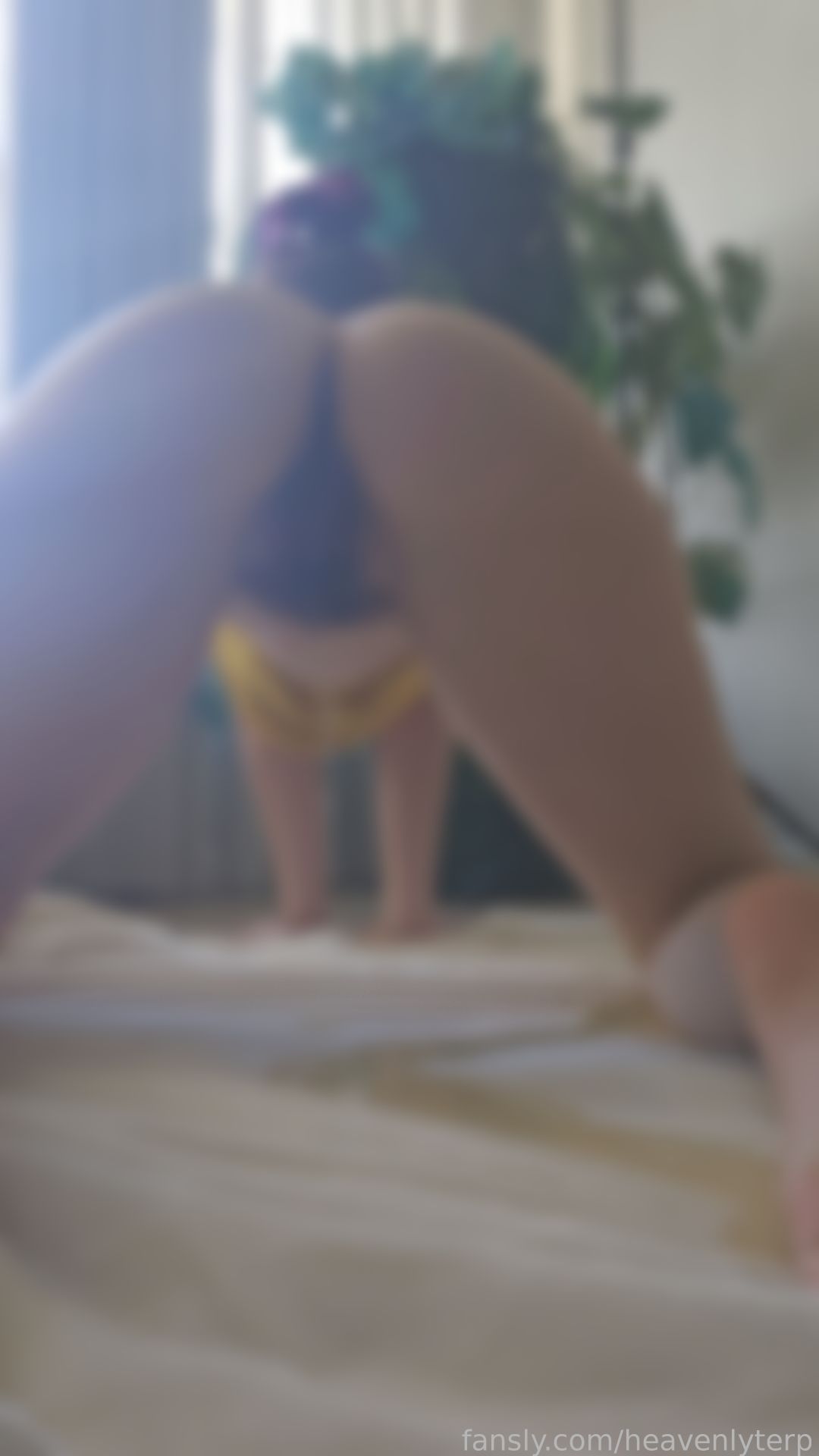 Image 9056021 from HeavenlyTerp