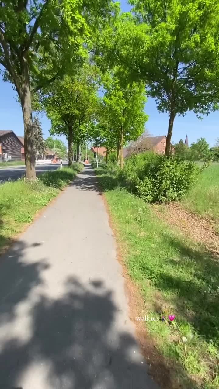 Video 373909 from jellefeline