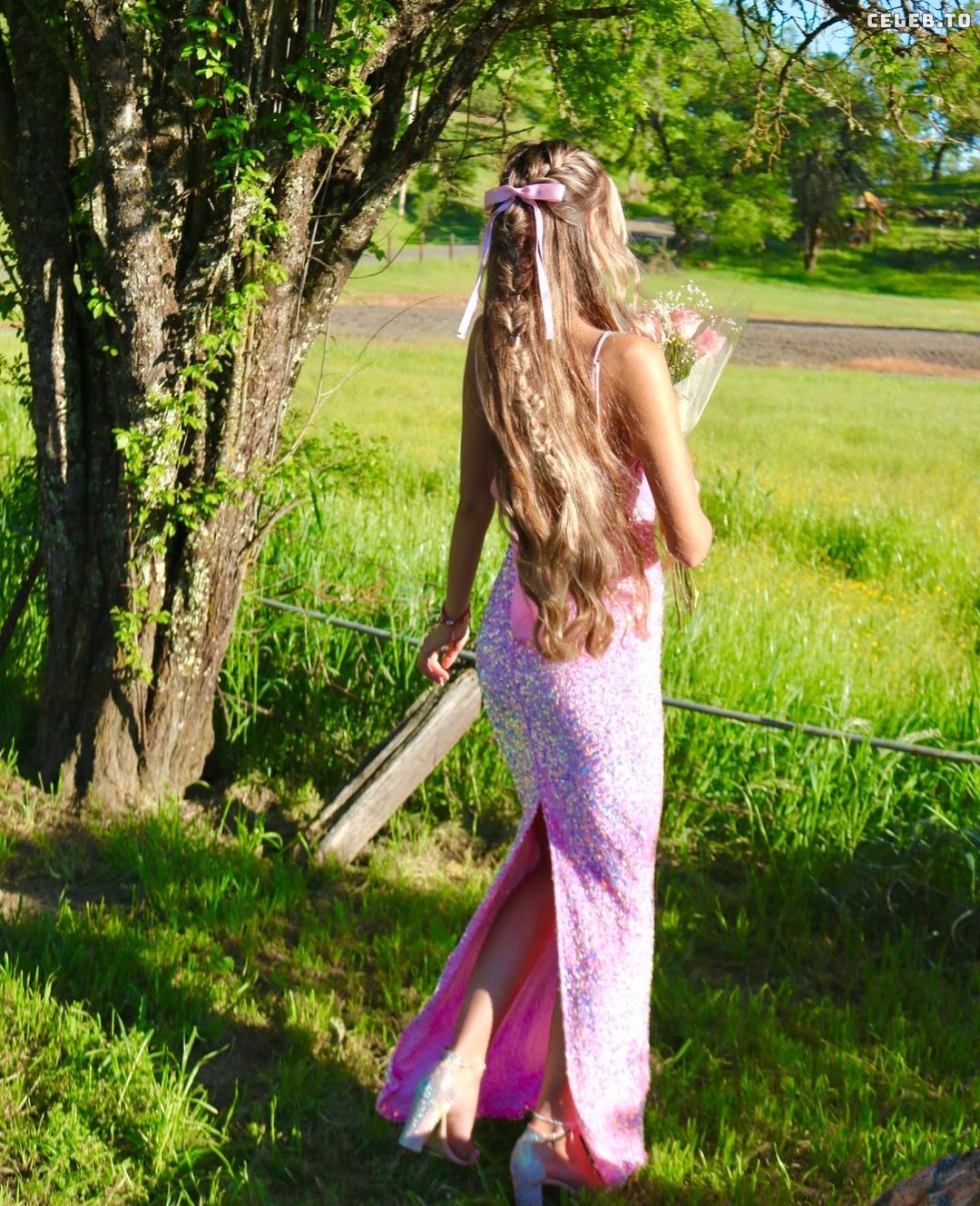 Image 910662 from Analeese Bonfiglio