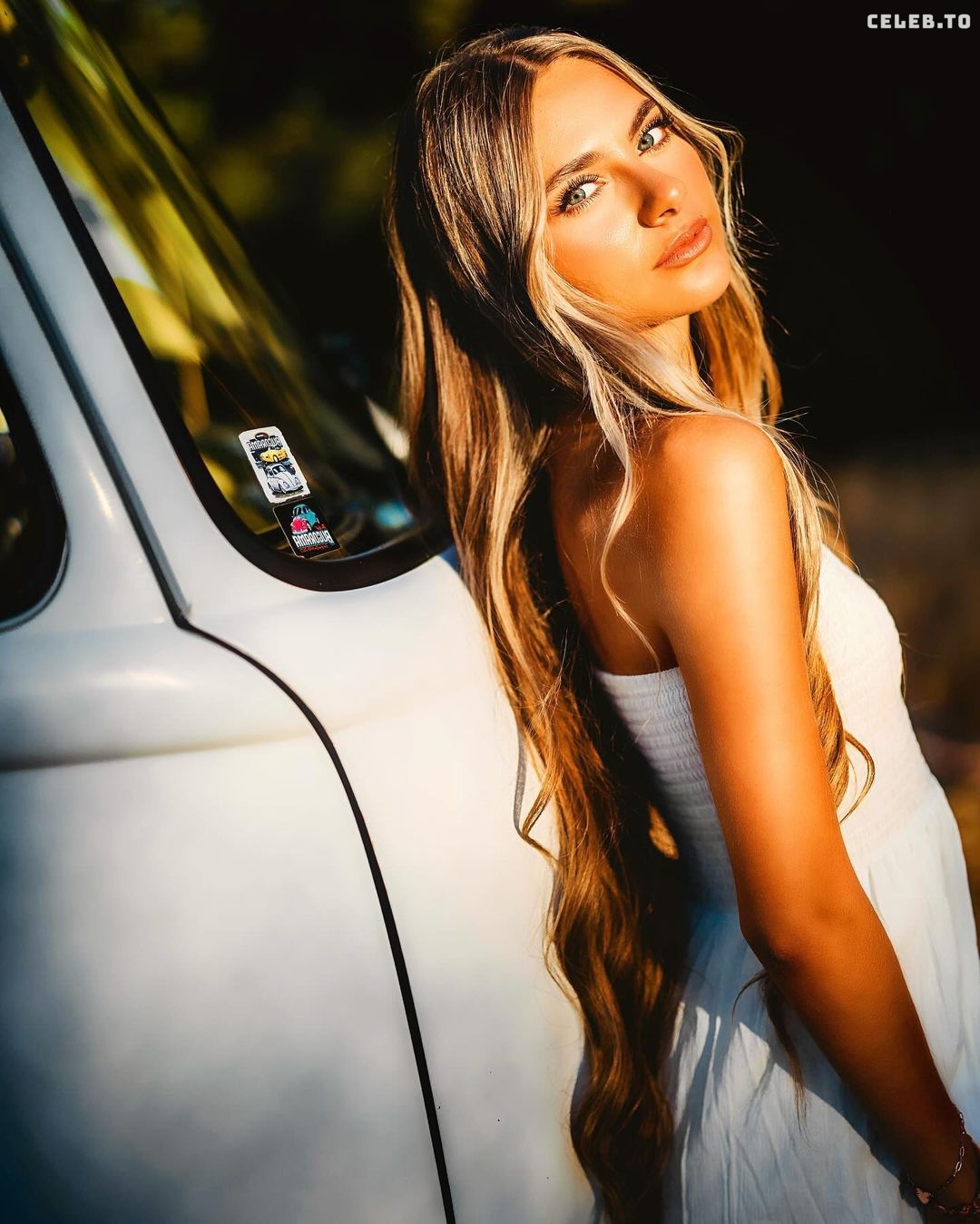 Image 911145 from Analeese Bonfiglio