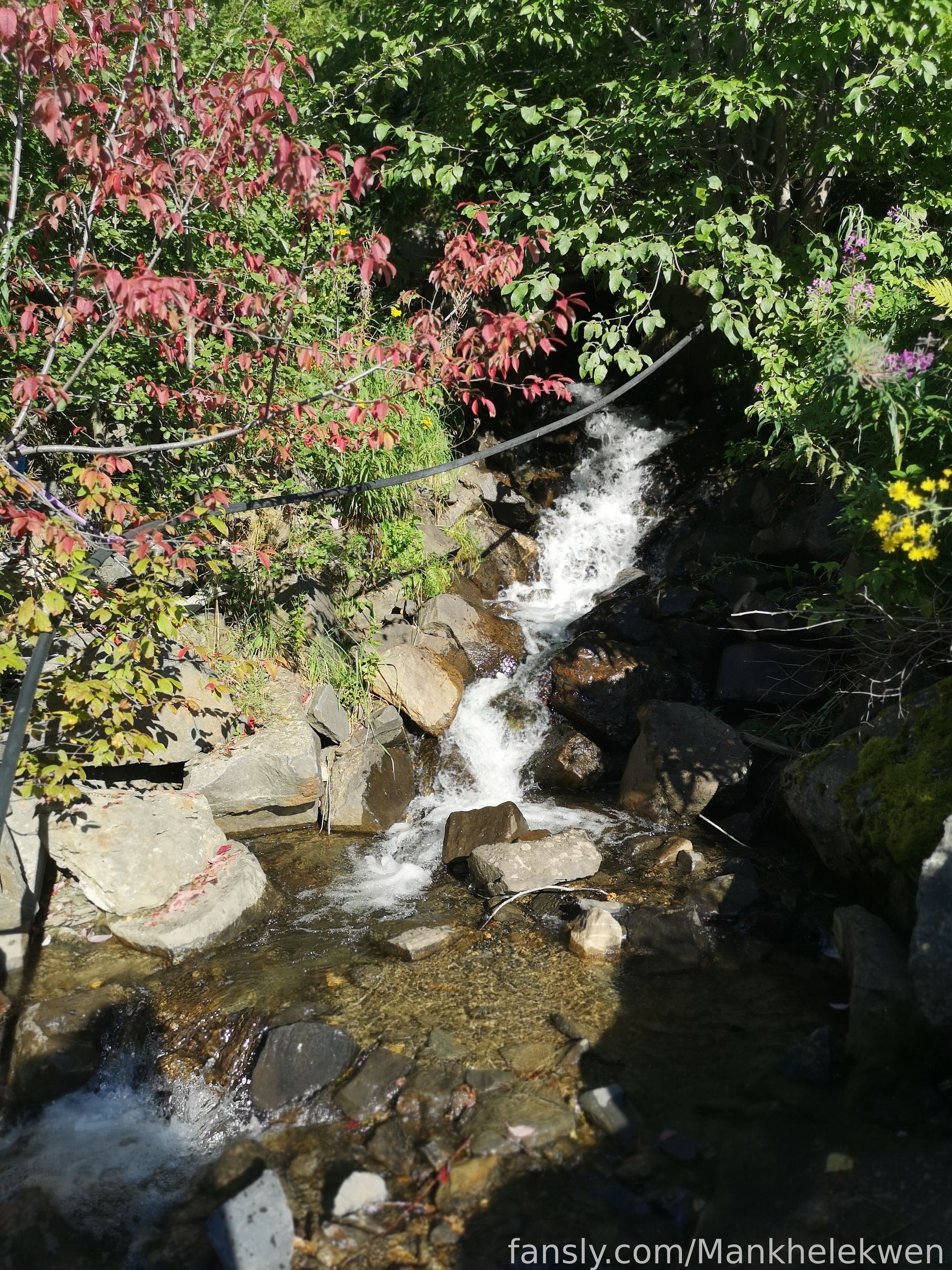Image 9123049 from Mankhelekwen