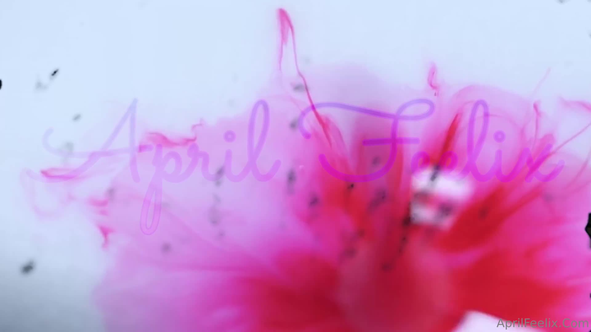 Video 419467 from April Feelix