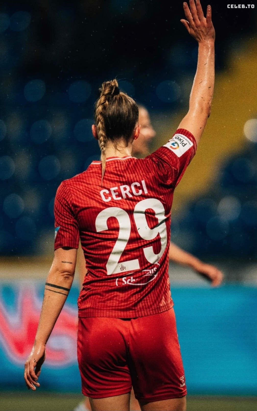 Image 930916 from Selina Cerci