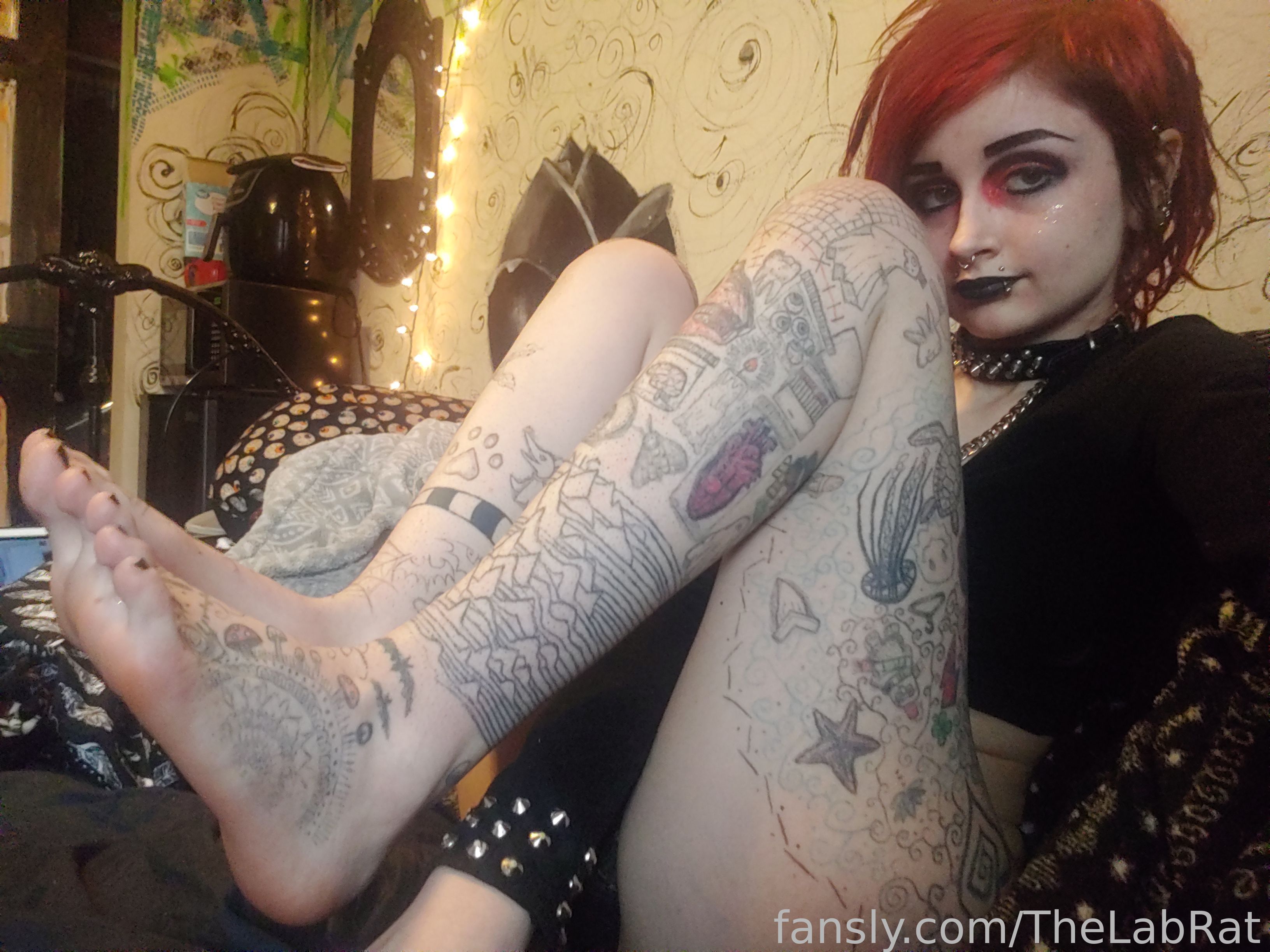 Image 9427587 from TheLabRat
