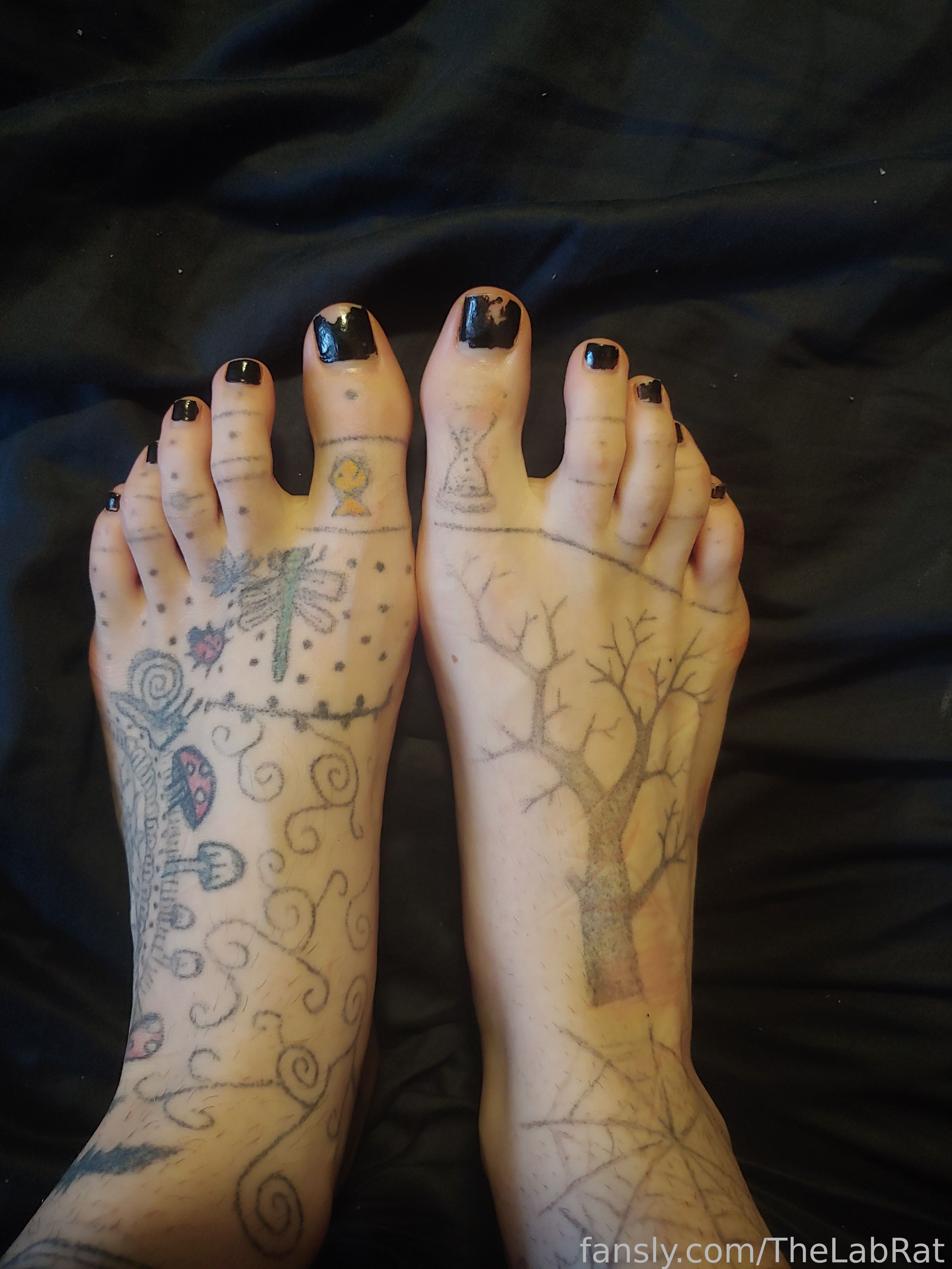 Image 9427596 from TheLabRat