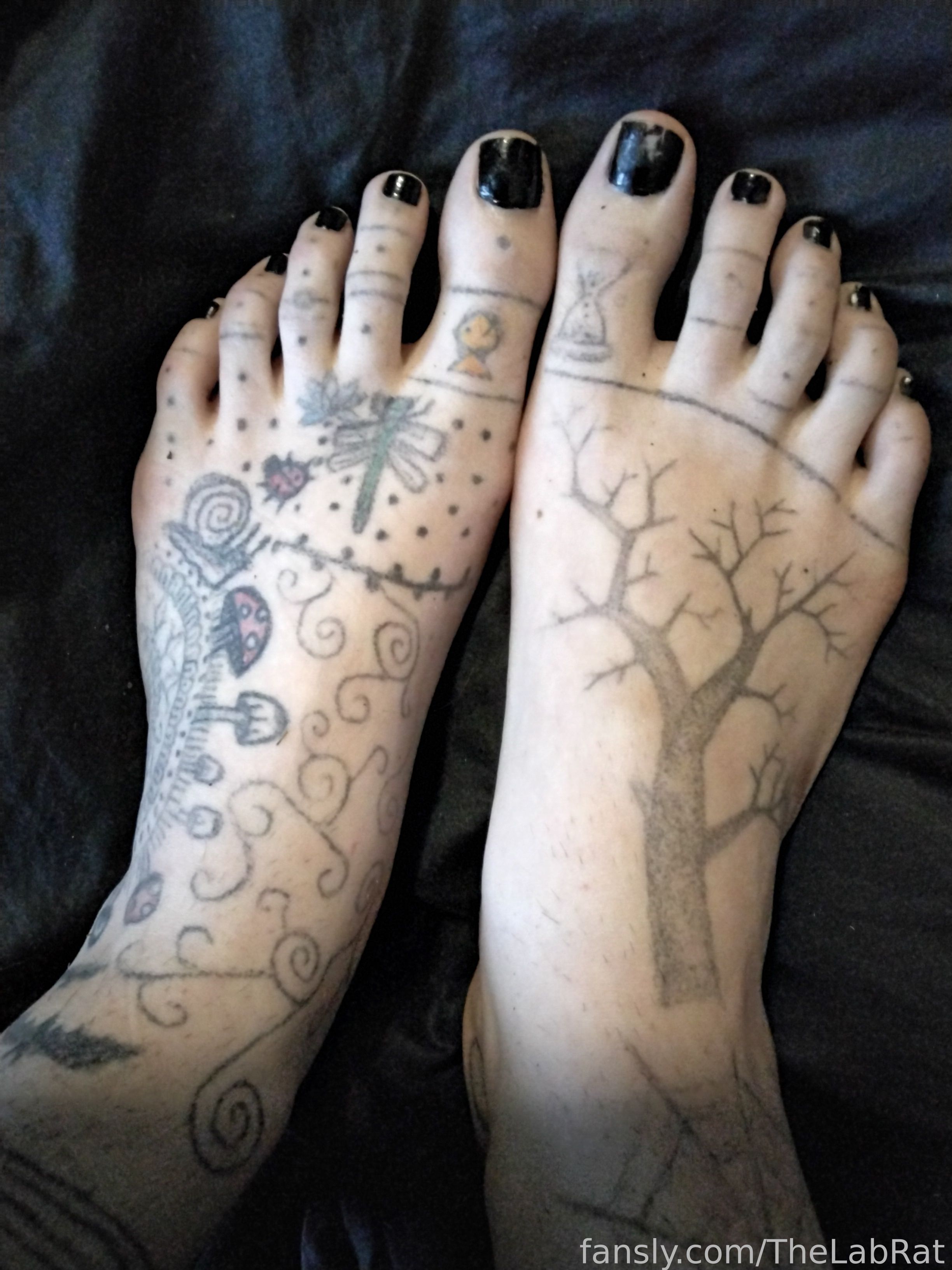 Image 9427601 from TheLabRat
