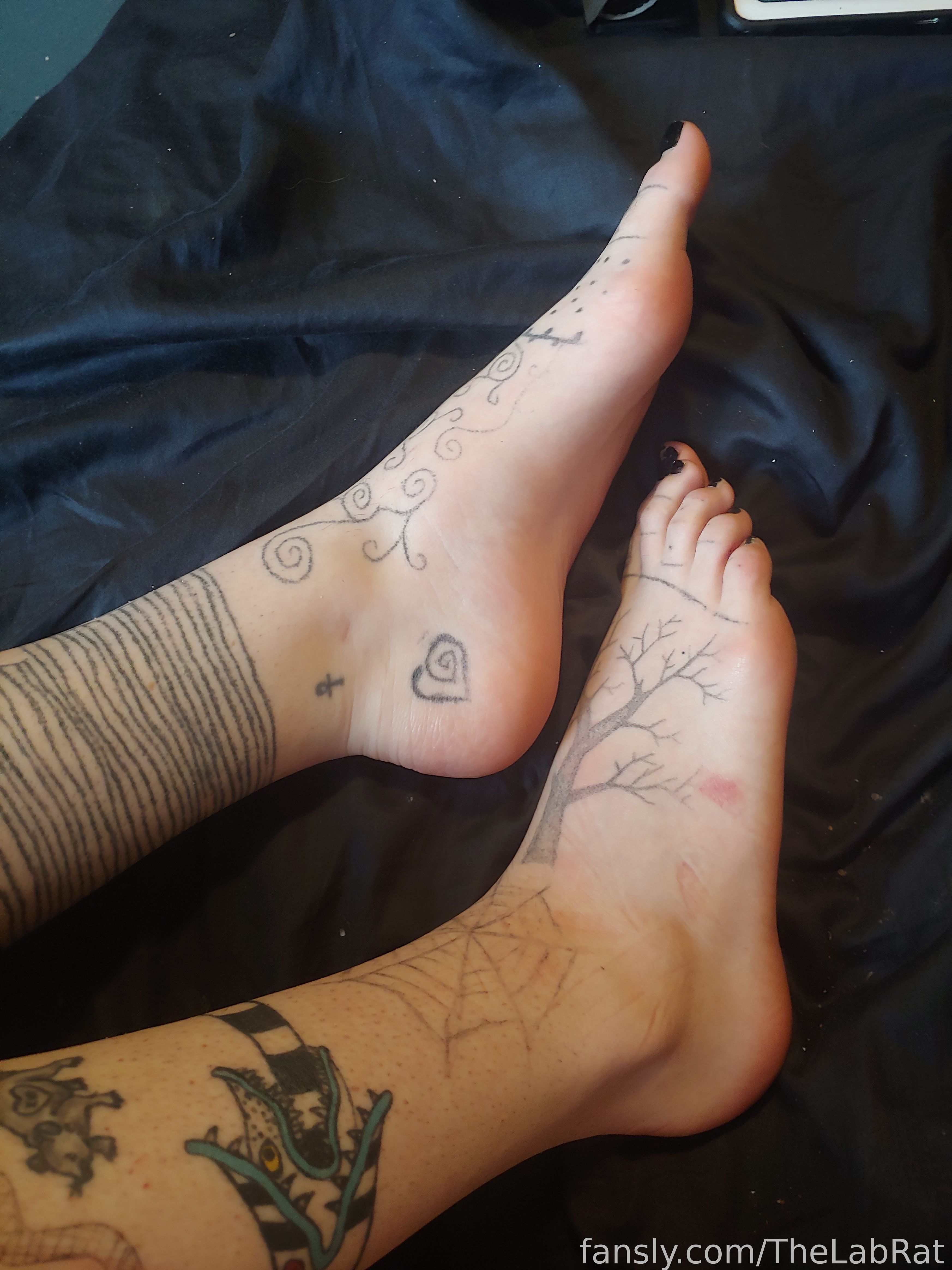 Image 9427614 from TheLabRat